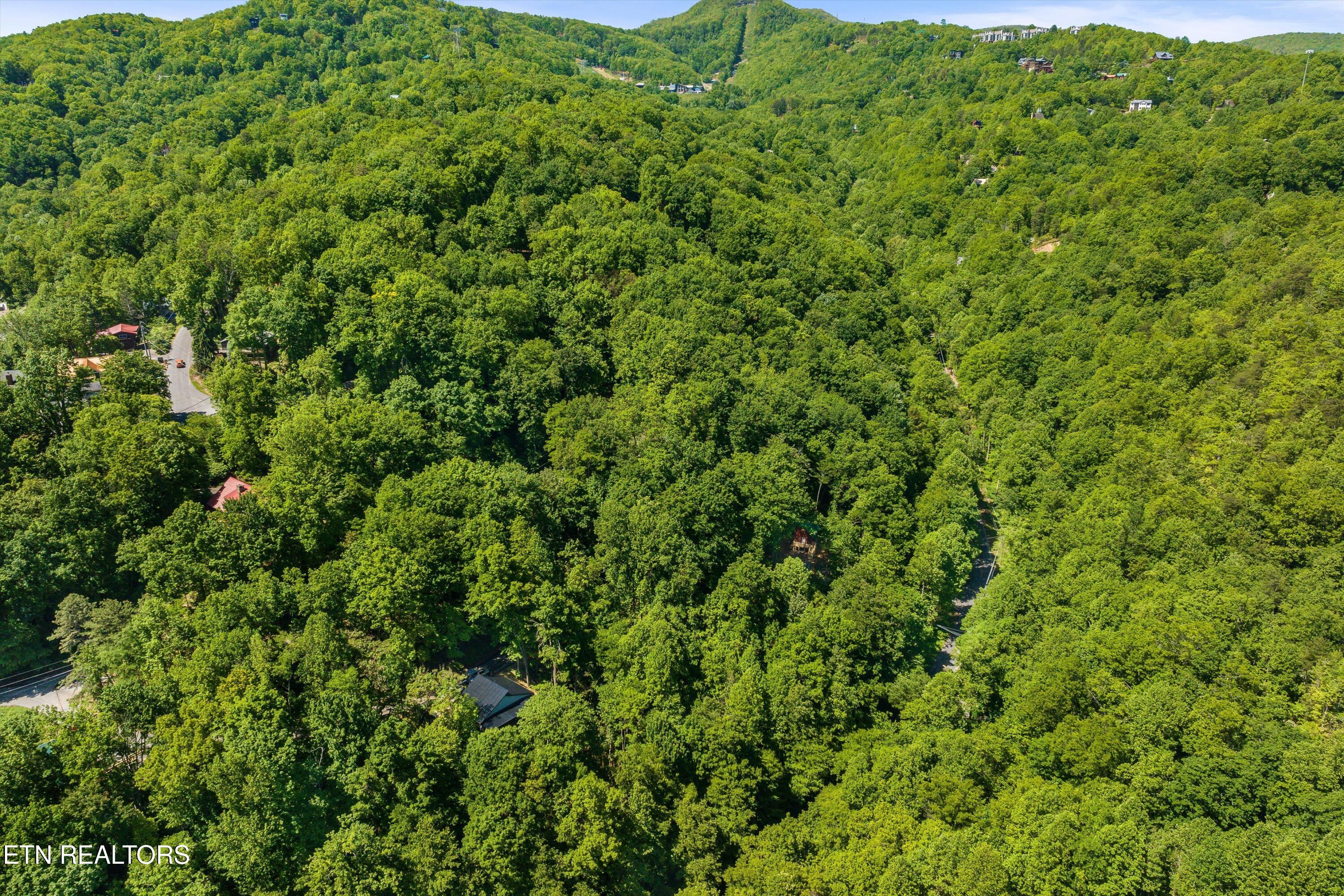 983 Stans Road Gatlinburg TN 37738