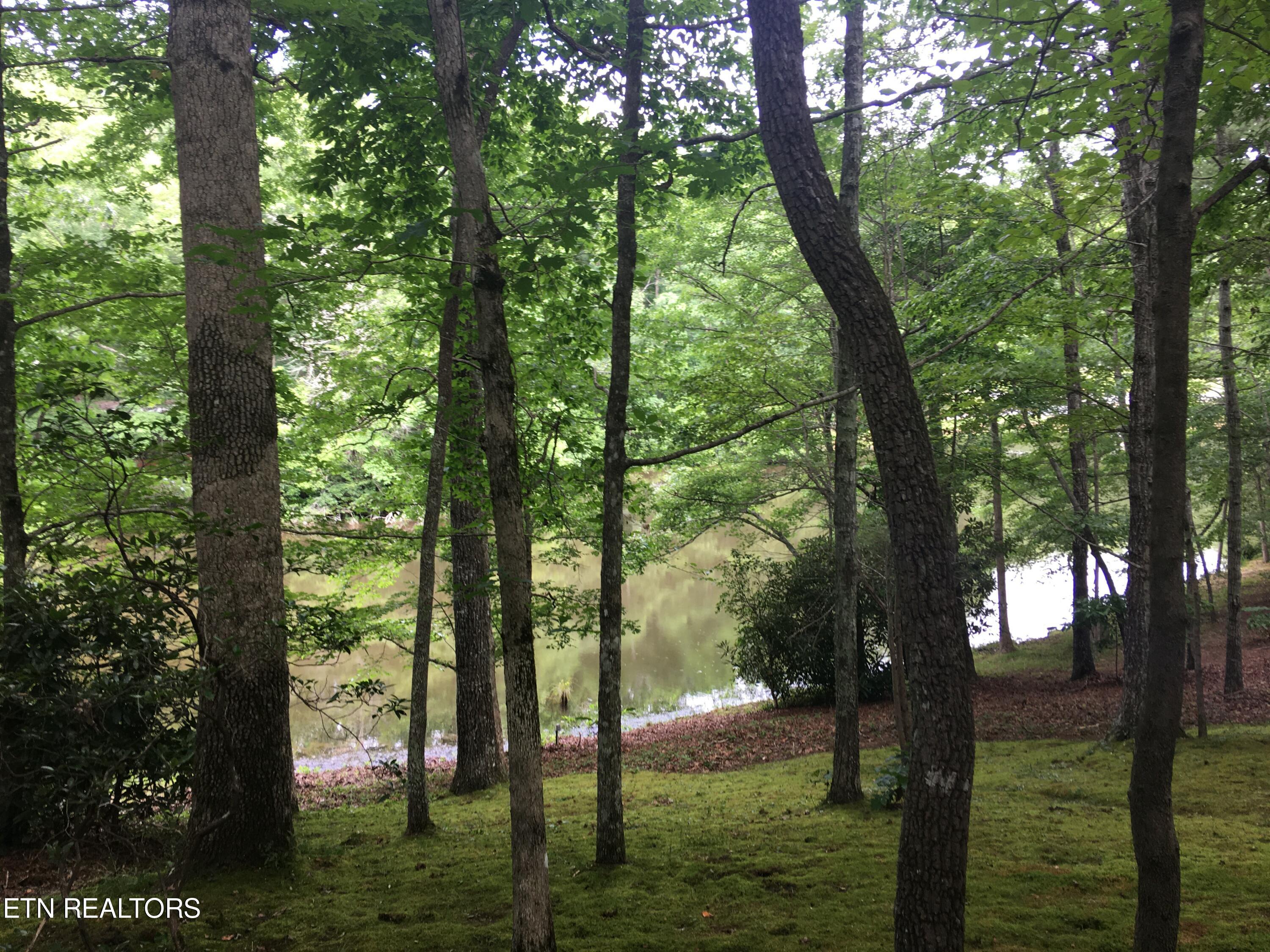 6722 S Peterson Road Tallassee TN 37878