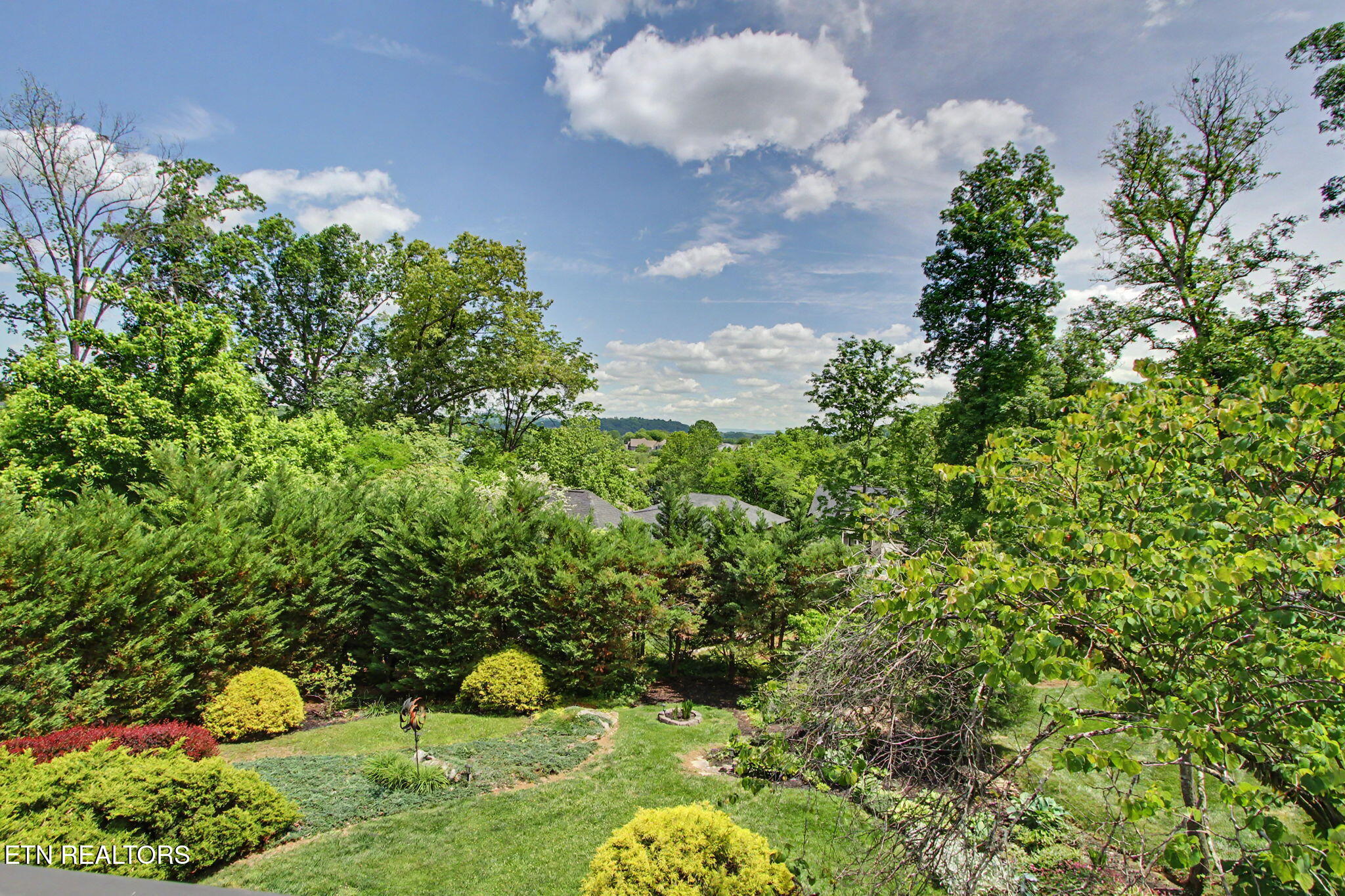 221 Gadusi Way Loudon TN 37774