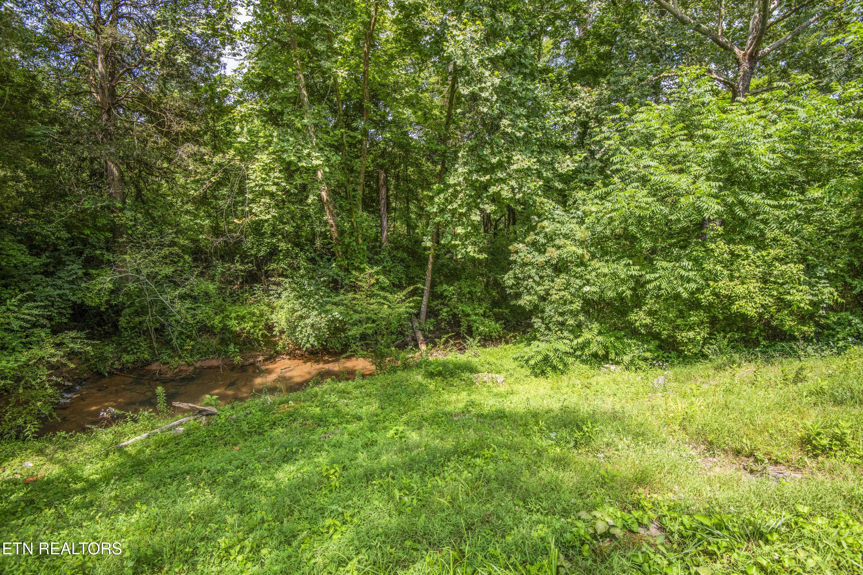 2927 Cardiff Castle Lane Knoxville TN 37931