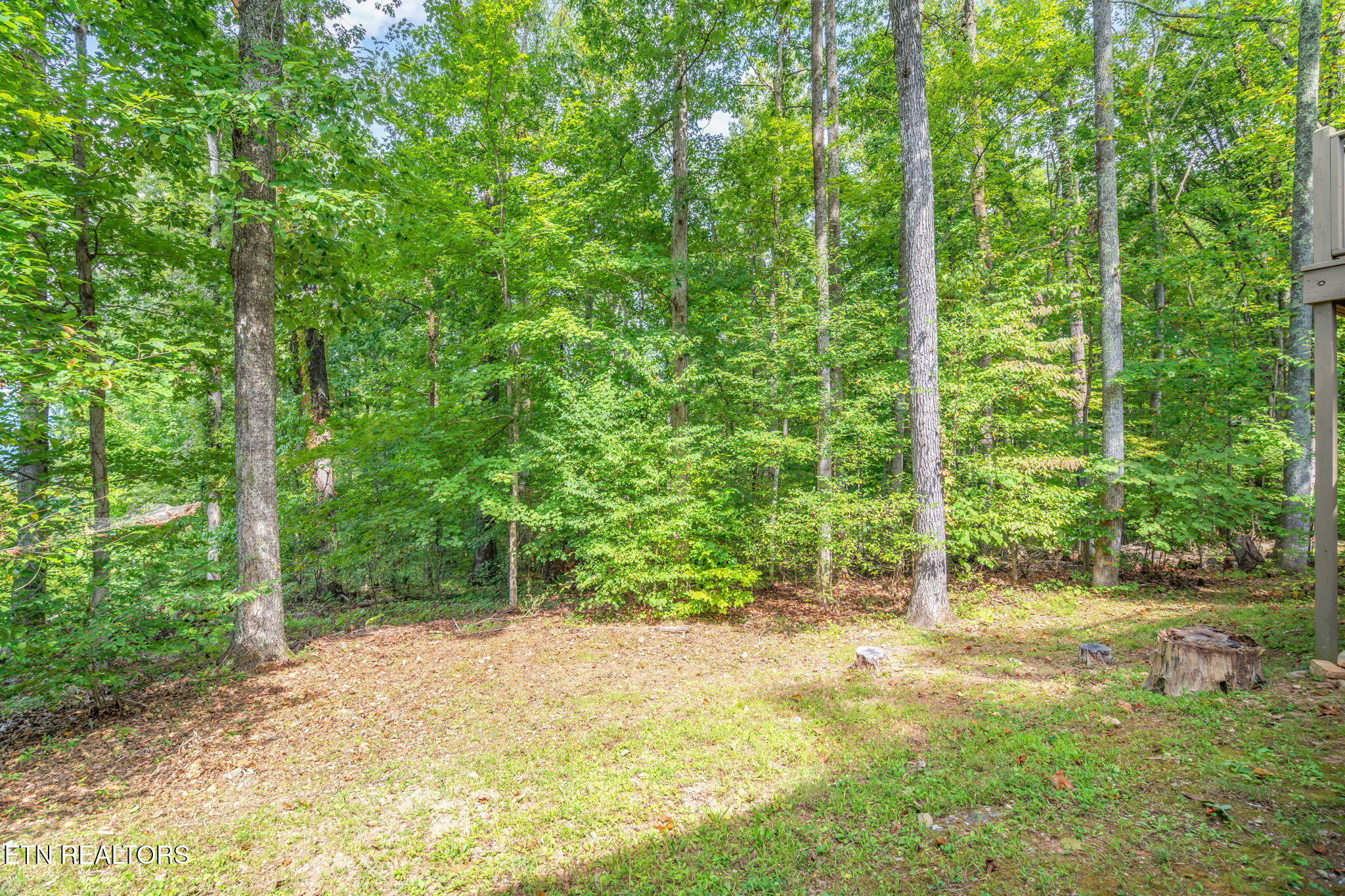 1070 W Outer Drive Oak Ridge TN 37830