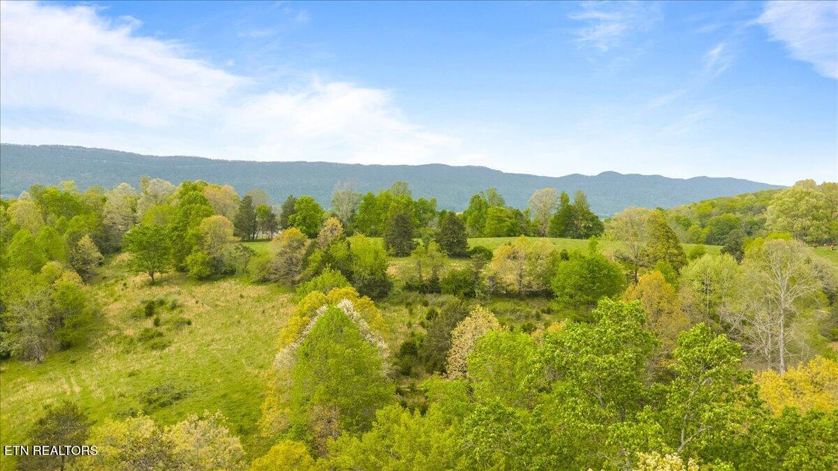 951 Knoxville Hollow Road Lafollette TN 37766