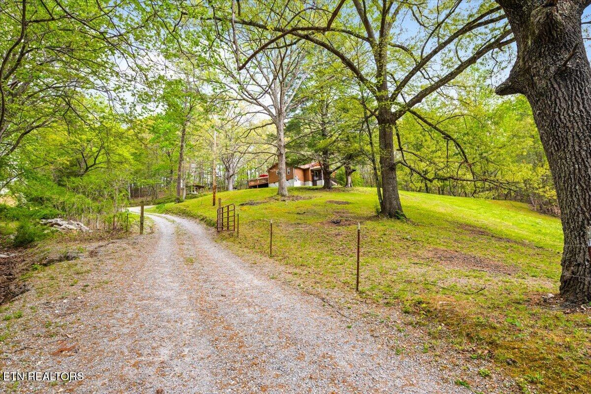 951 Knoxville Hollow Road Lafollette TN 37766