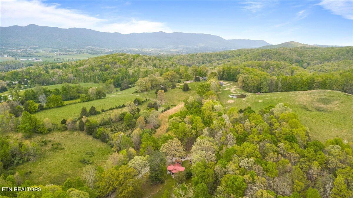 951 Knoxville Hollow Road Lafollette TN 37766