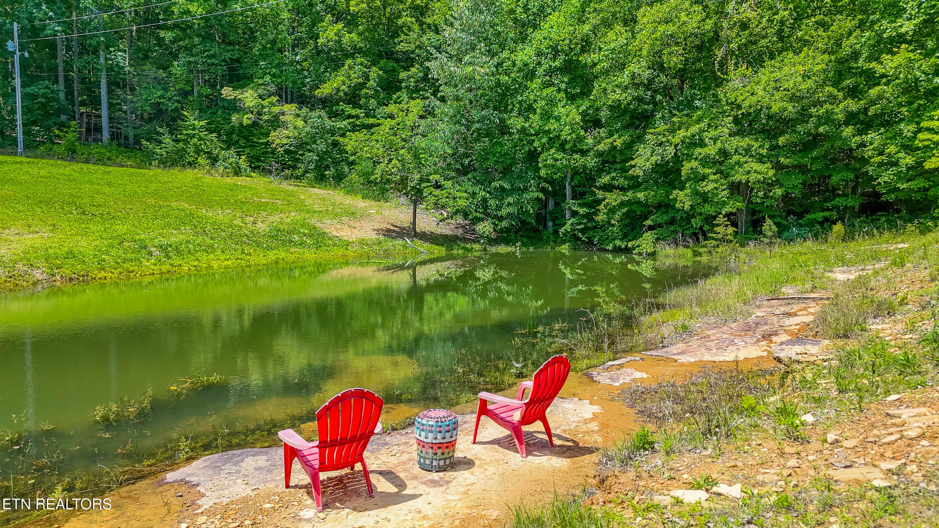 2479 Shut In Gap Road Spring City TN 37381