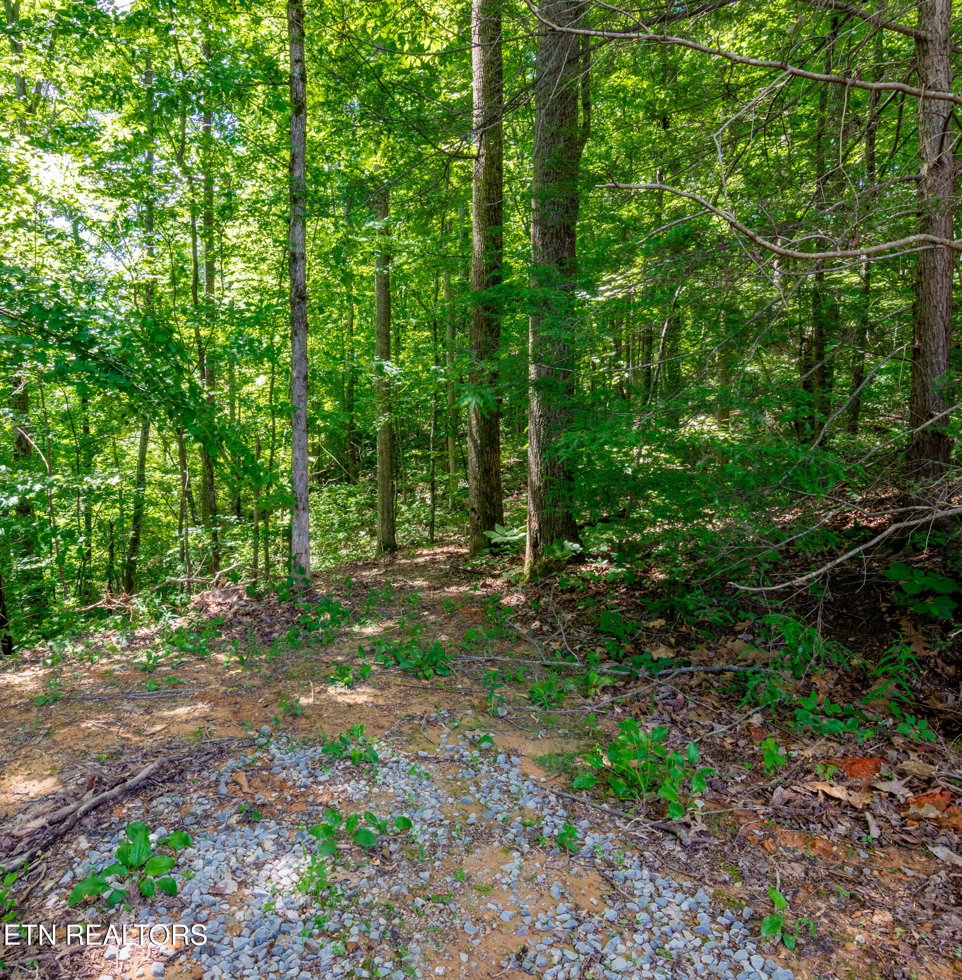 2479 Shut In Gap Road Spring City TN 37381