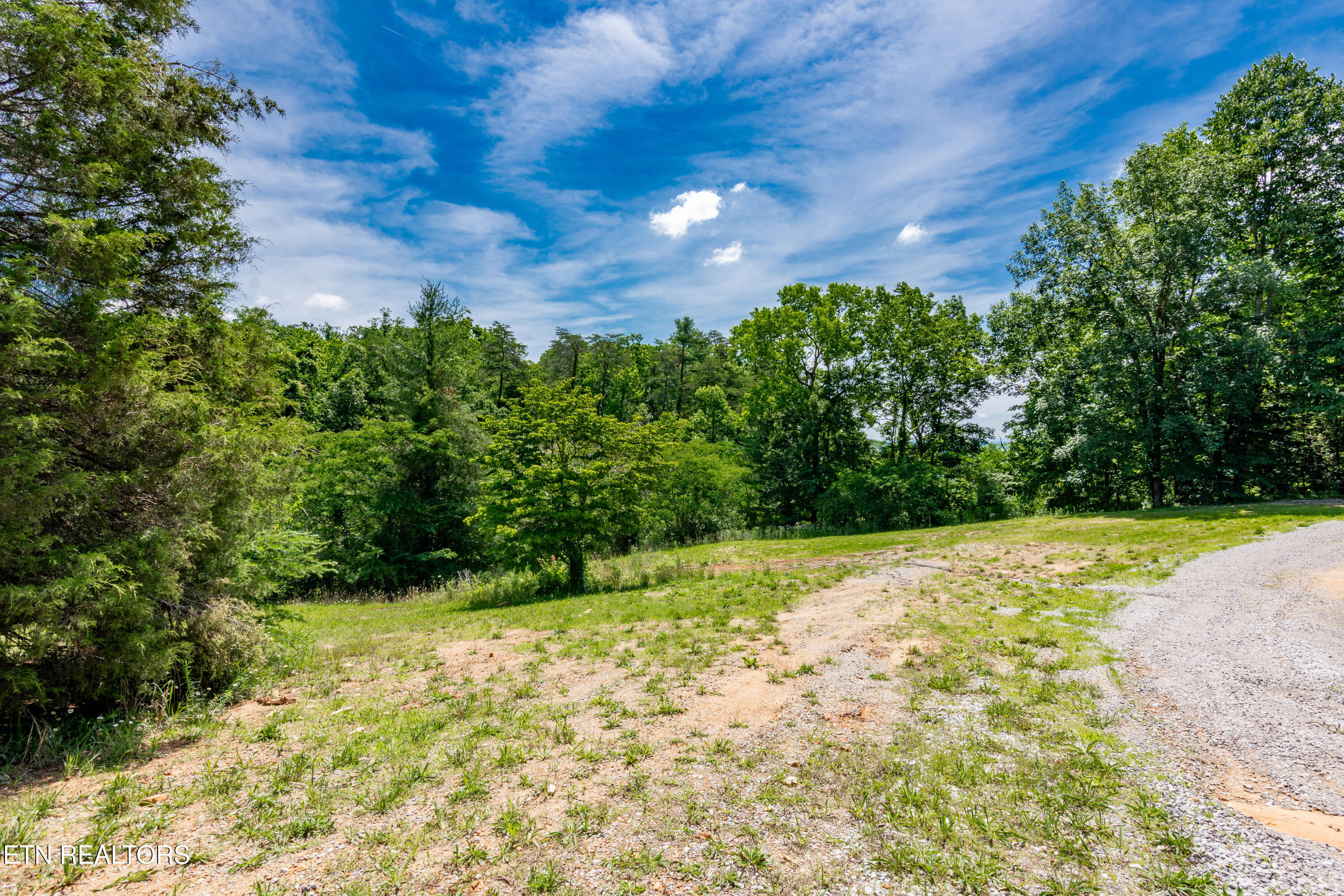 2479 Shut In Gap Road Spring City TN 37381