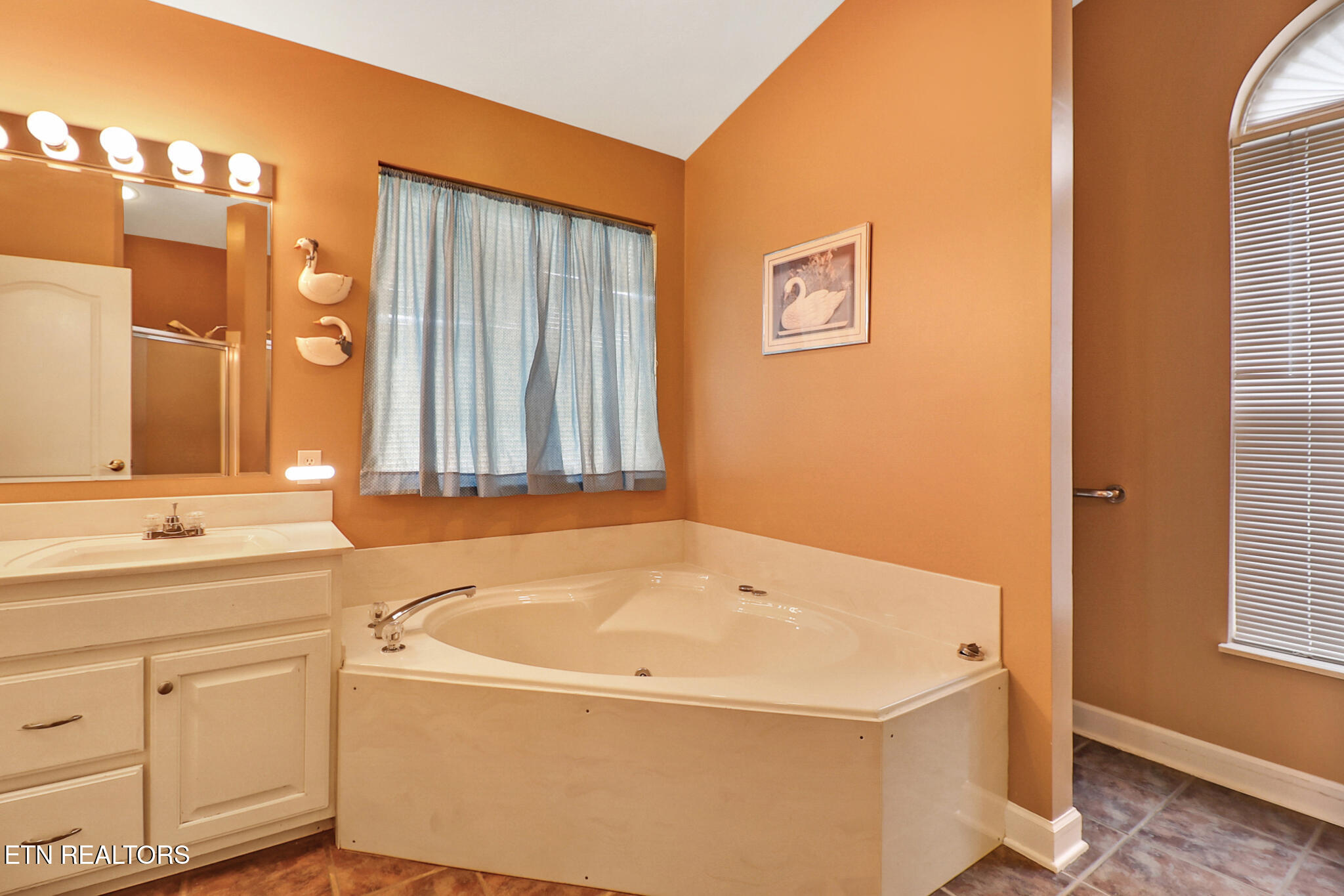 122 Twin Oaks Drive Rockwood TN 37854