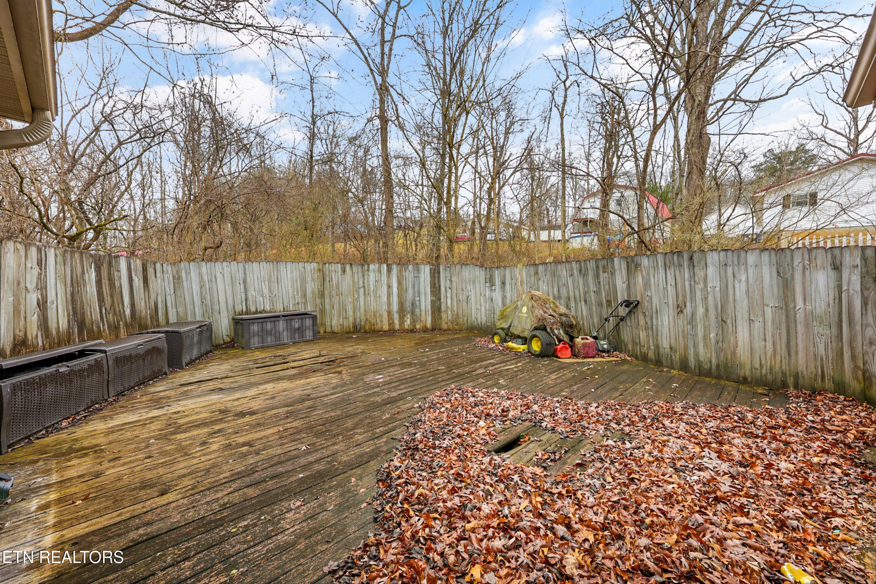 156 Hollifield Drive Jacksboro TN 37757