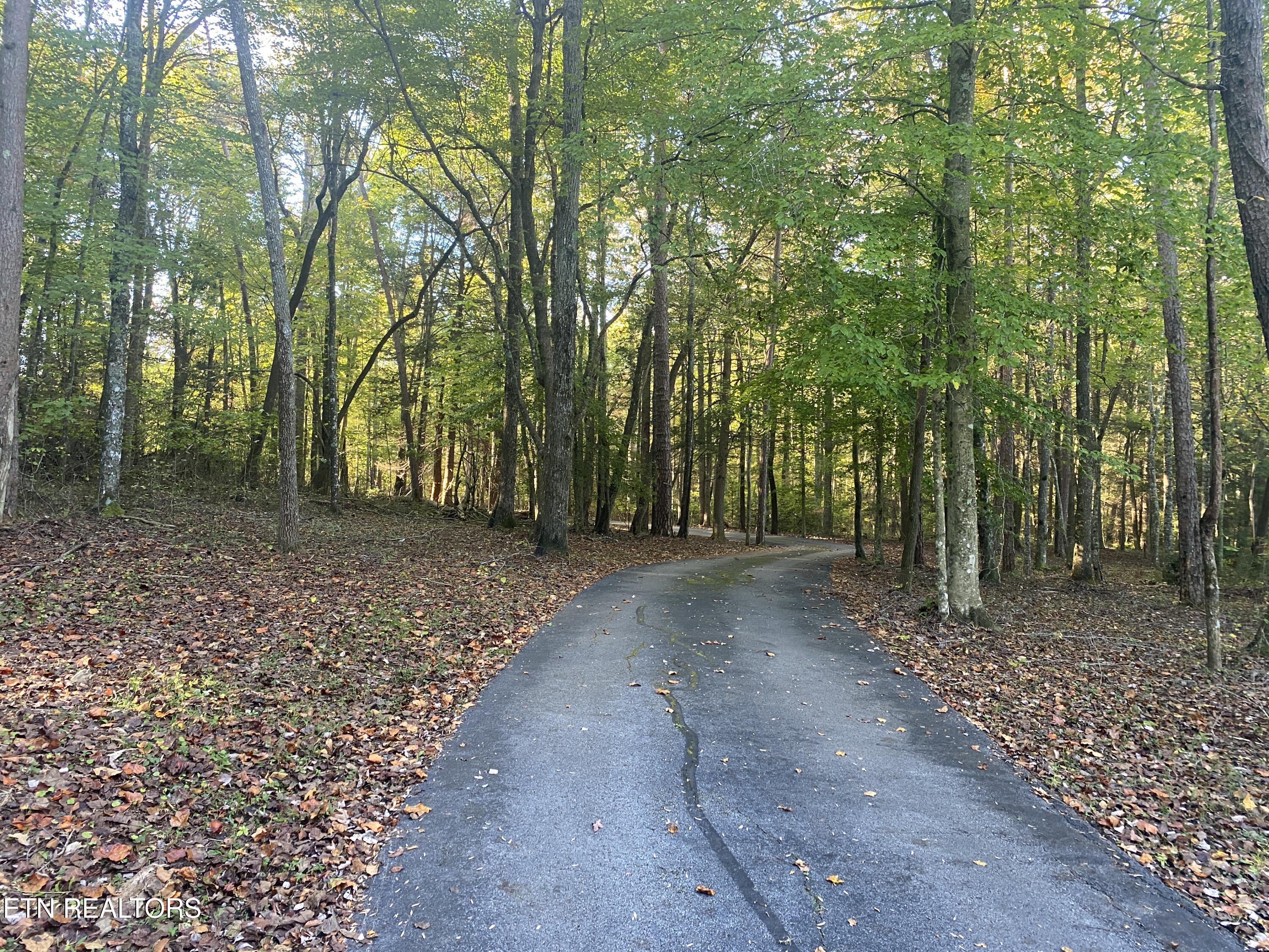 303 Cumberland Cove Road Monterey TN 38574