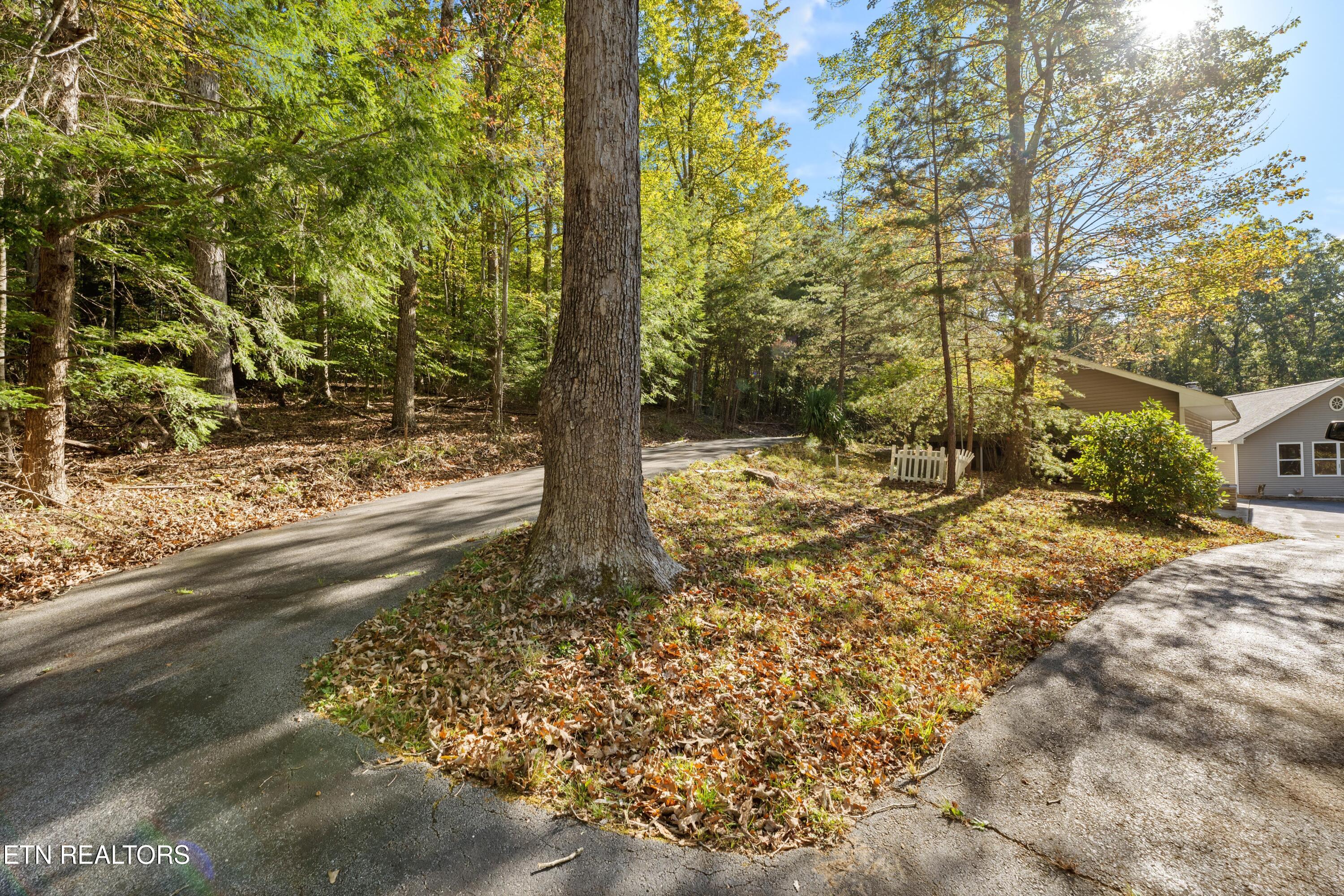 303 Cumberland Cove Road Monterey TN 38574