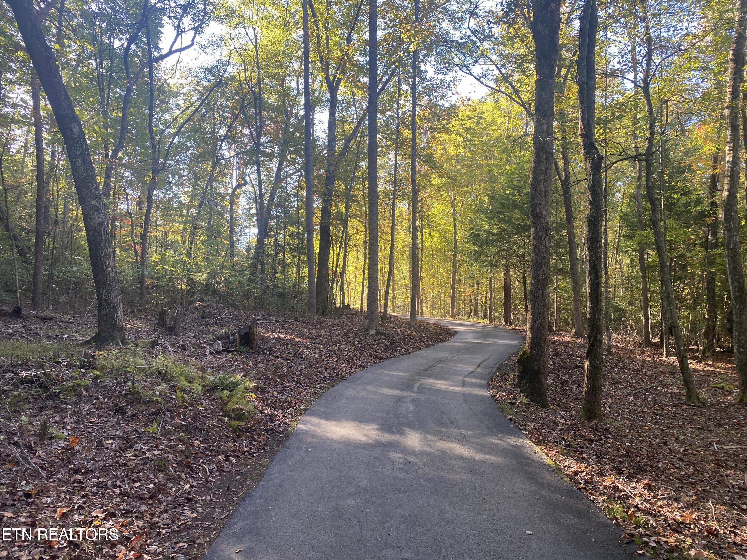 303 Cumberland Cove Road Monterey TN 38574