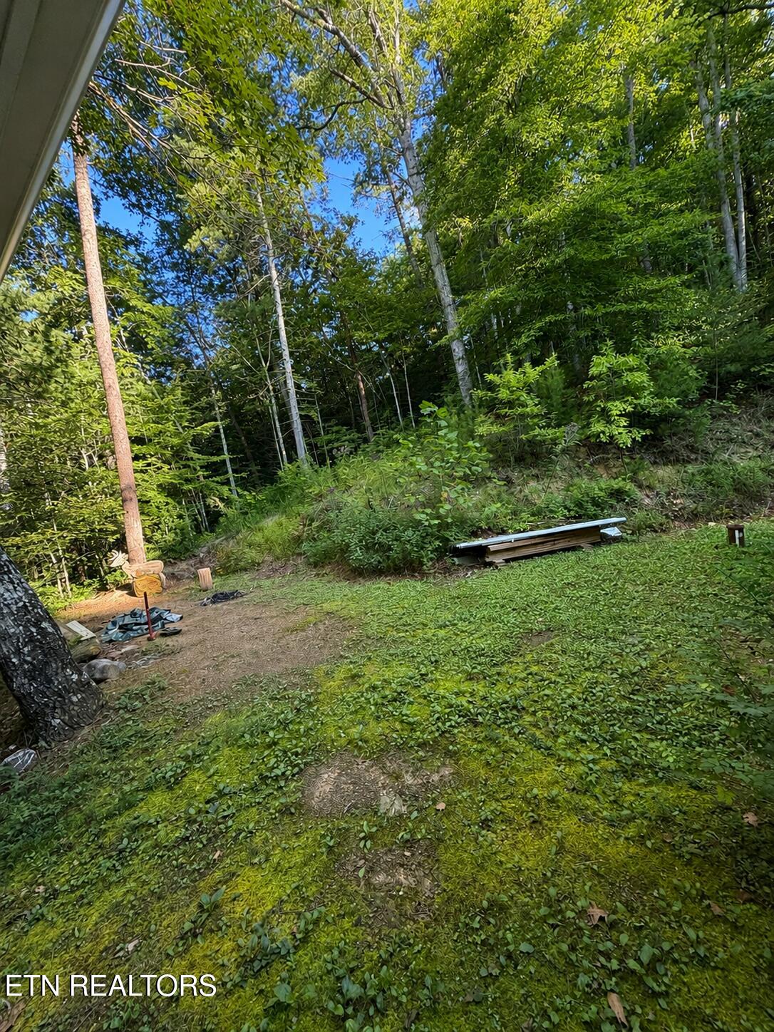 1820 Peaceful Way Sevierville TN 37876