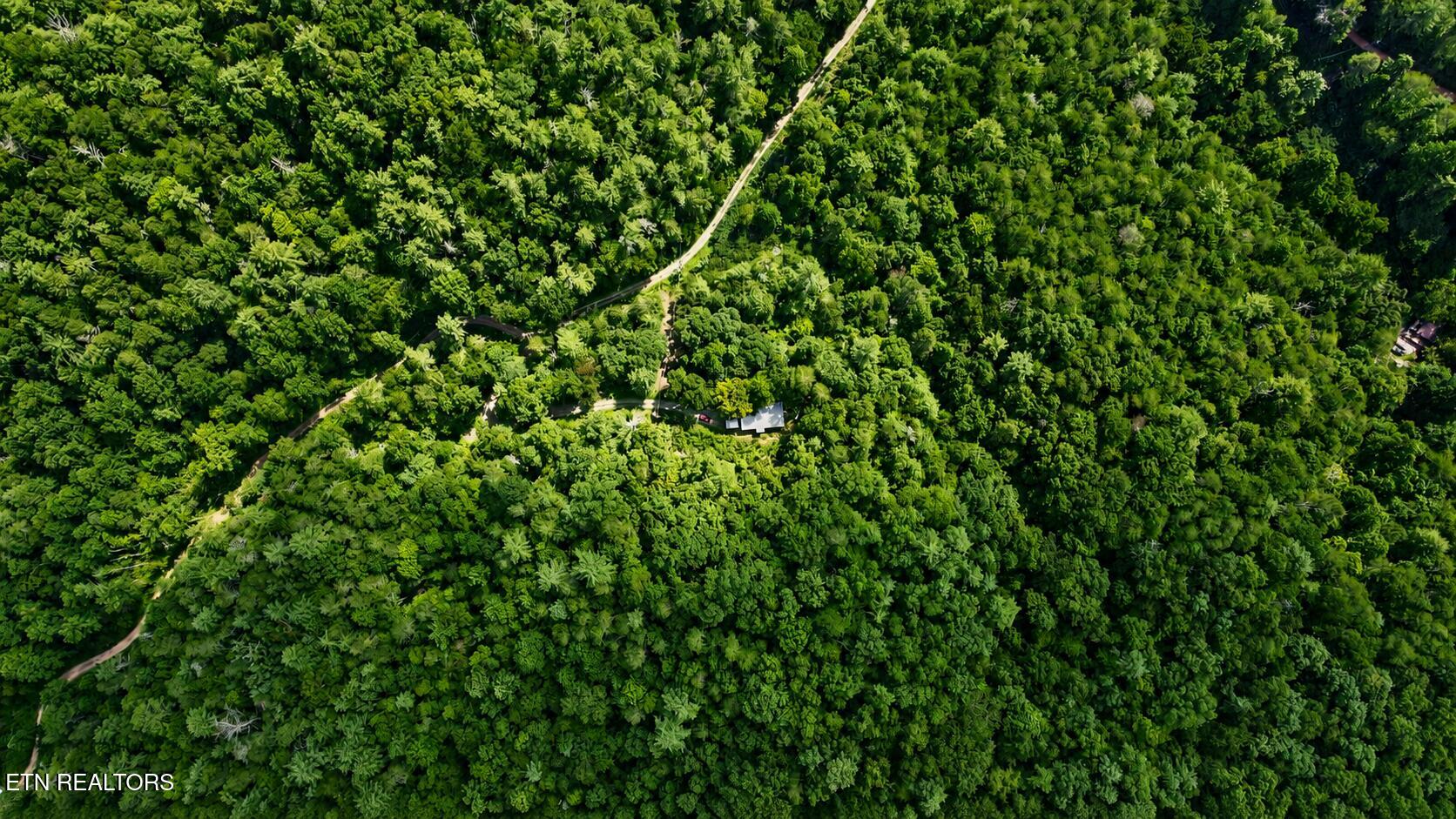 1820 Peaceful Way Sevierville TN 37876
