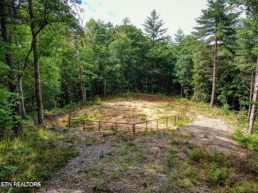 107 Walking Horse Drive Jamestown TN 38556