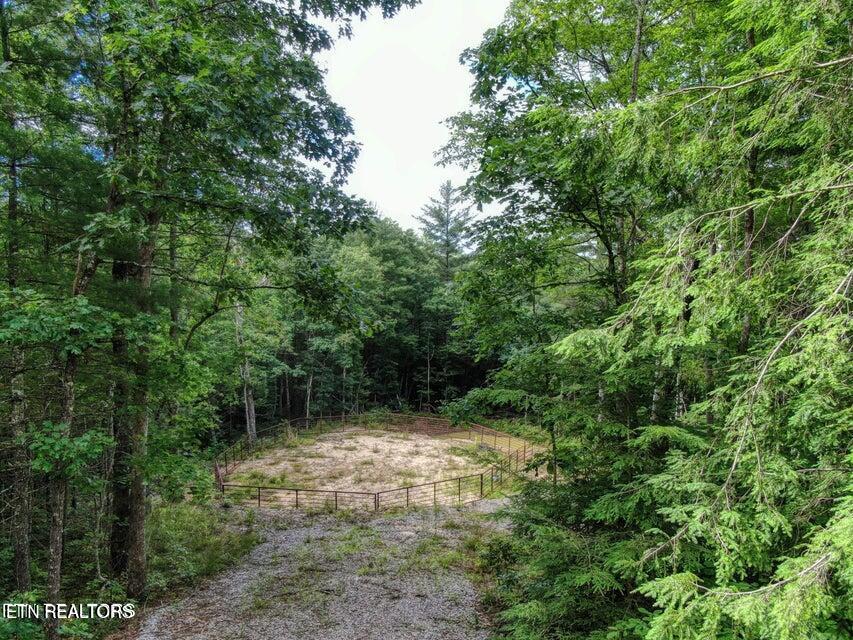 107 Walking Horse Drive Jamestown TN 38556