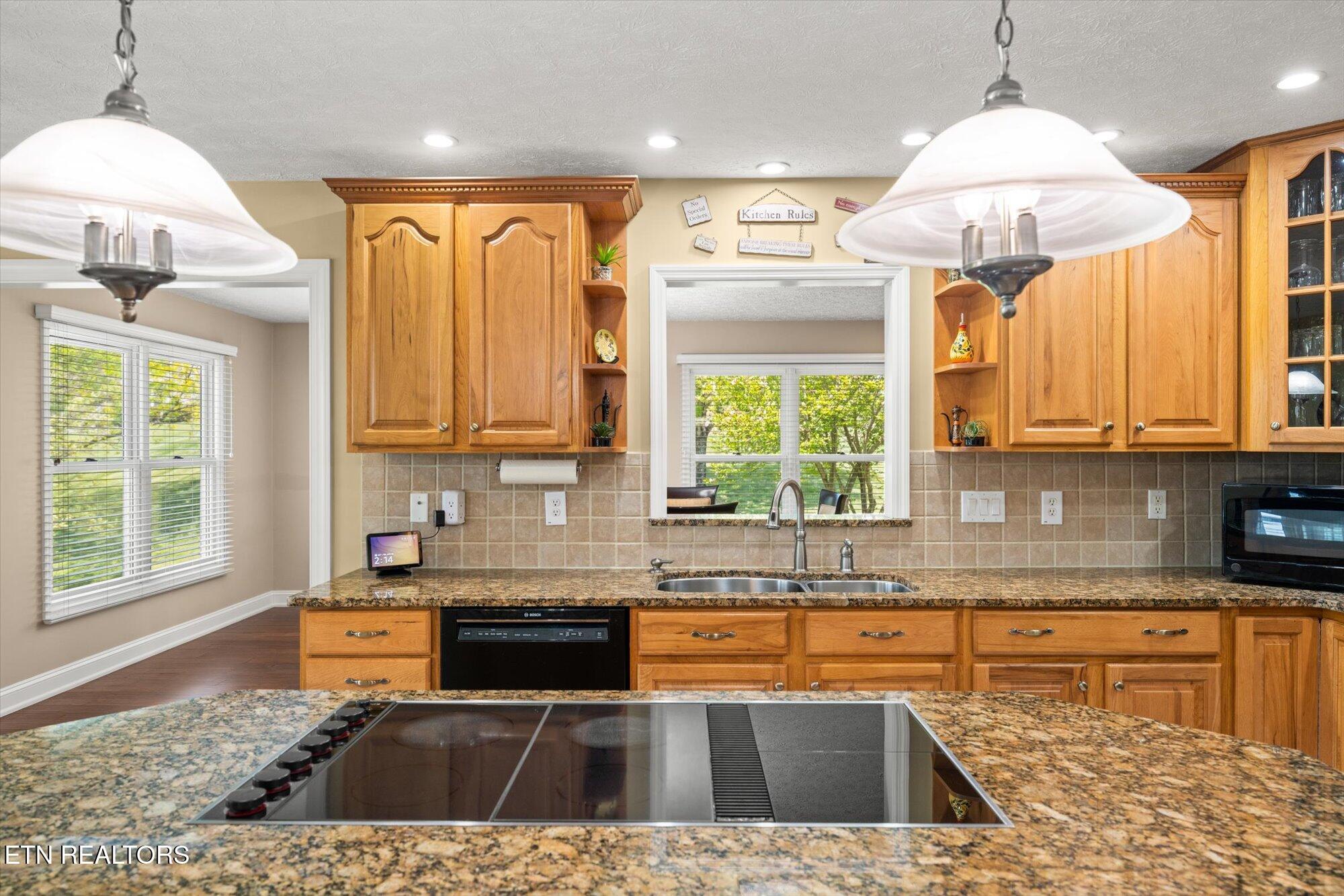 825 Pinnacle Drive Dandridge TN 37725