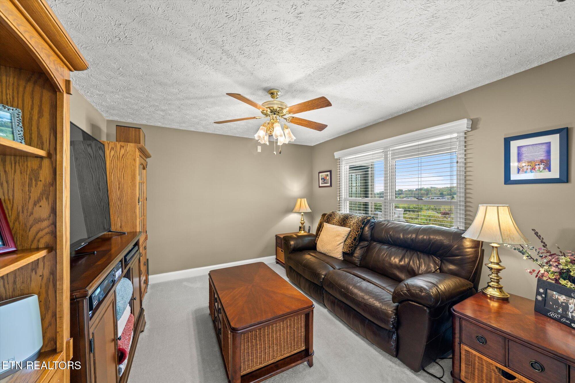 825 Pinnacle Drive Dandridge TN 37725