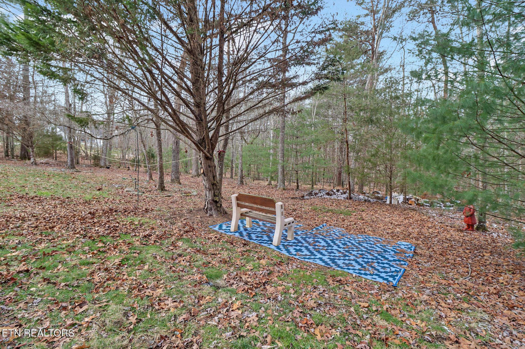 17 Dickens Lane Fairfield Glade TN 38558