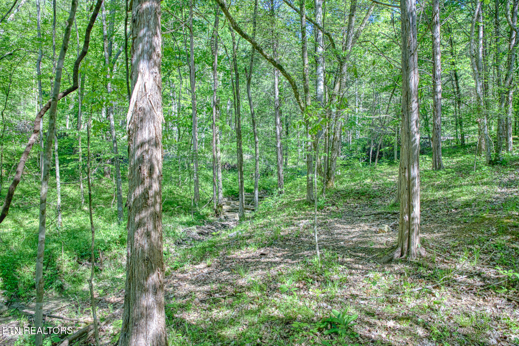 299 Poor House Hollow Lane Gainesboro TN 38562