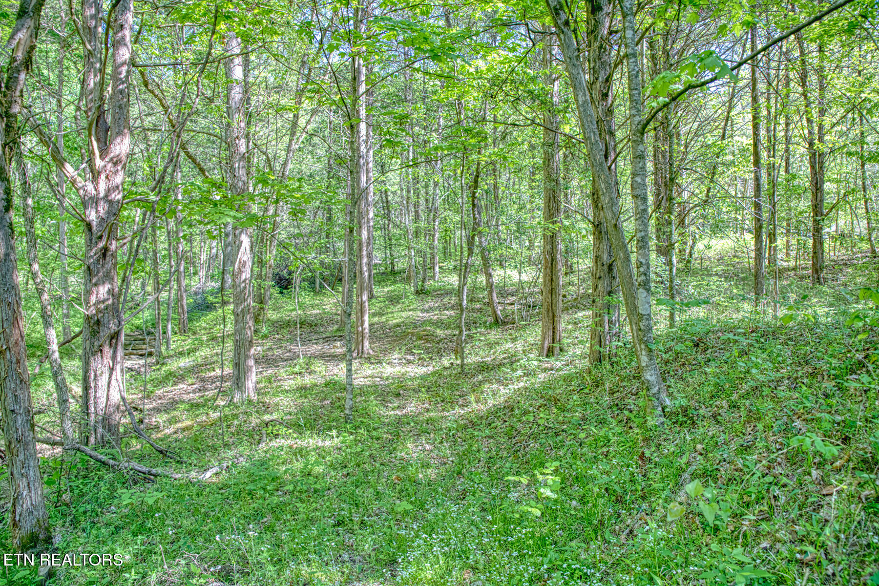 299 Poor House Hollow Lane Gainesboro TN 38562