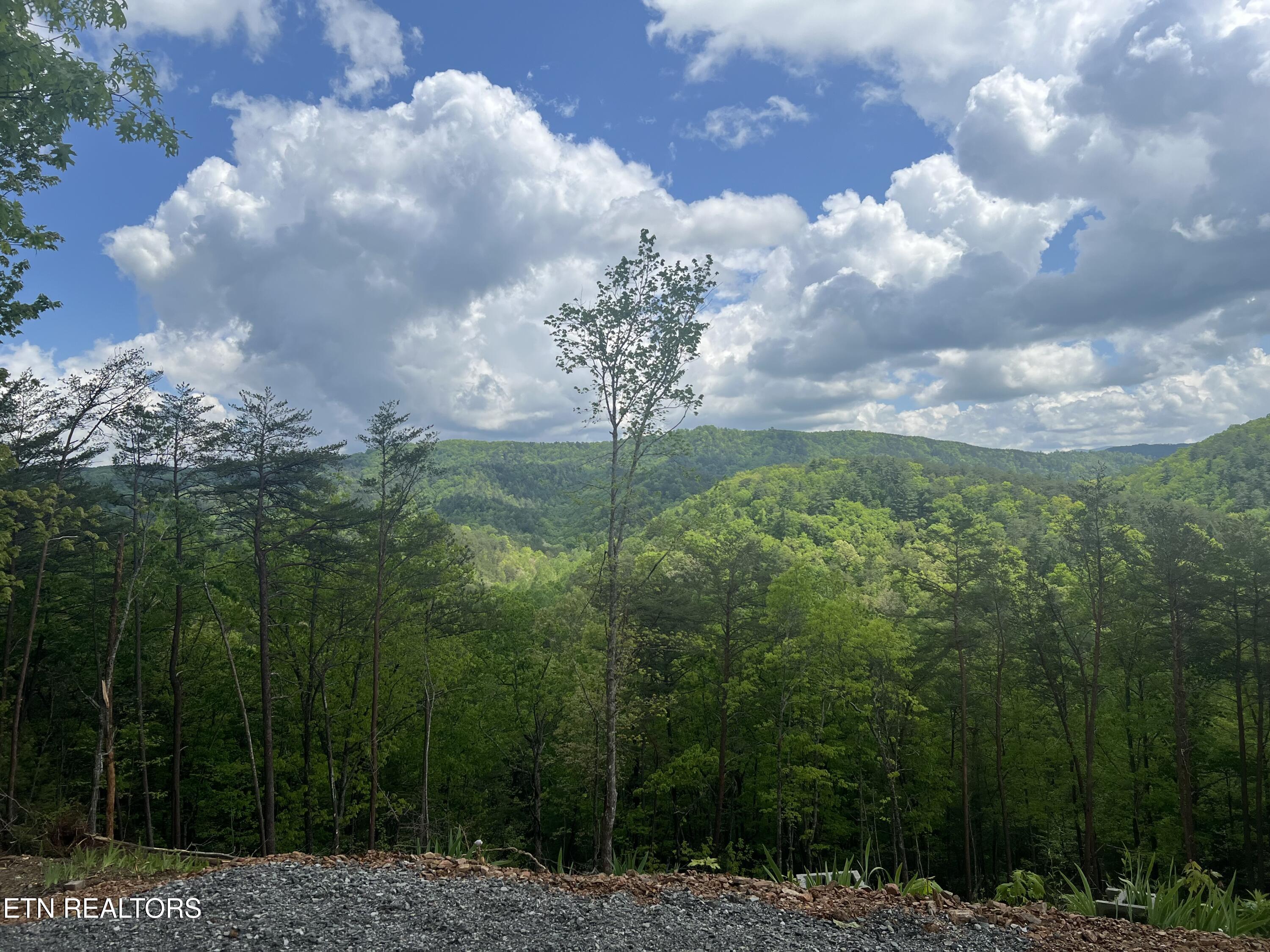 625 Cane Creek Mountain Road Tellico Plains TN 37385