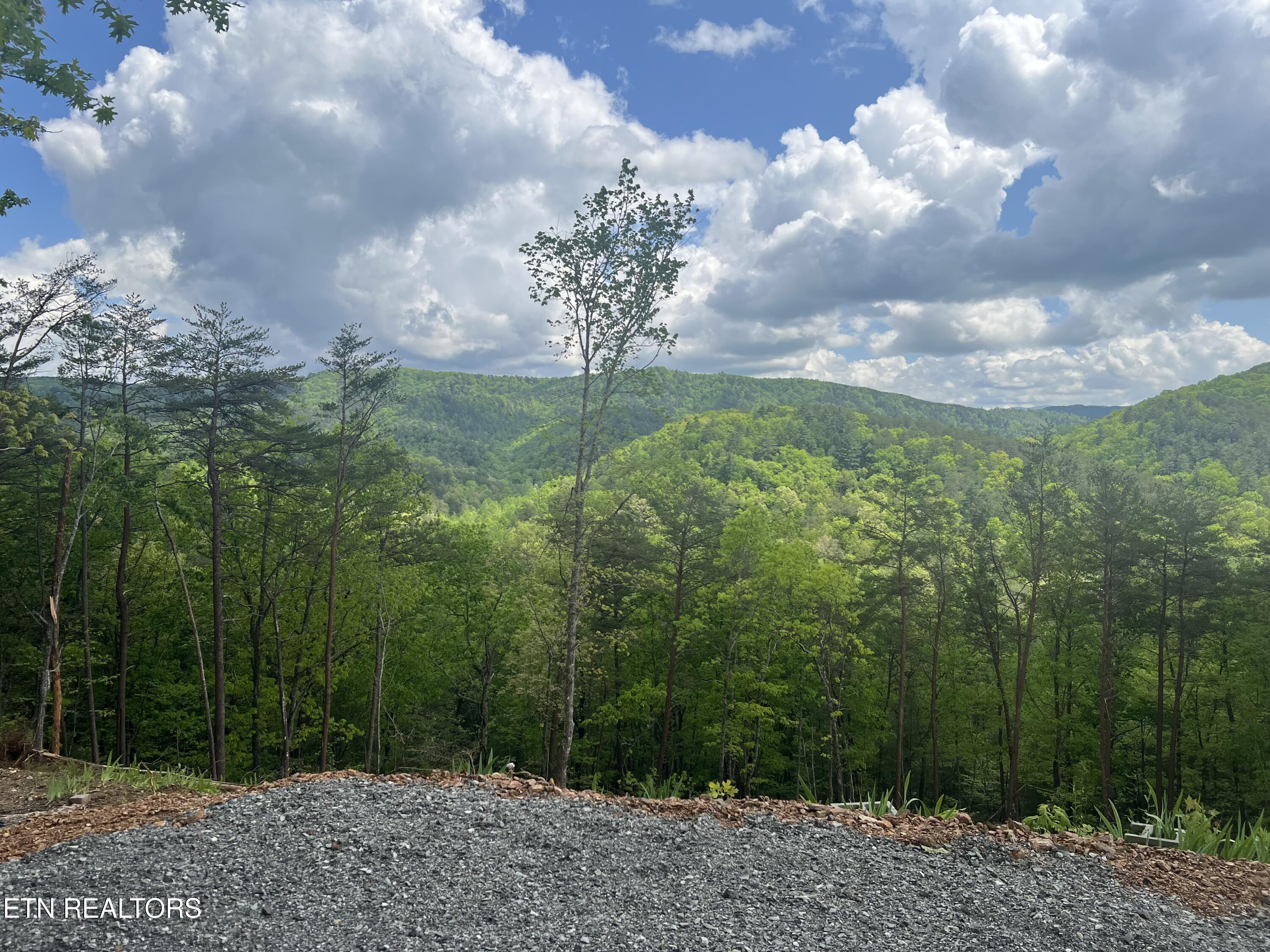 625 Cane Creek Mountain Road Tellico Plains TN 37385