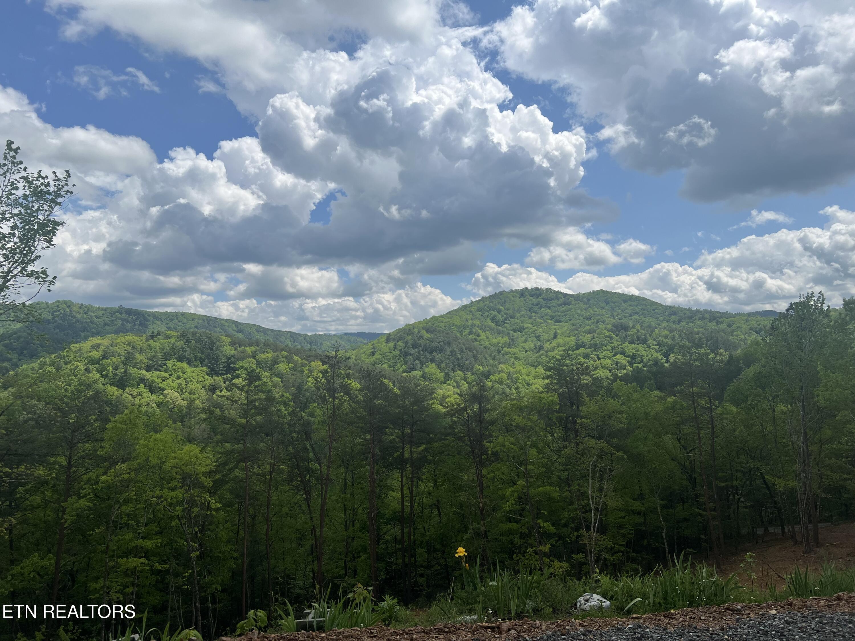 625 Cane Creek Mountain Road Tellico Plains TN 37385