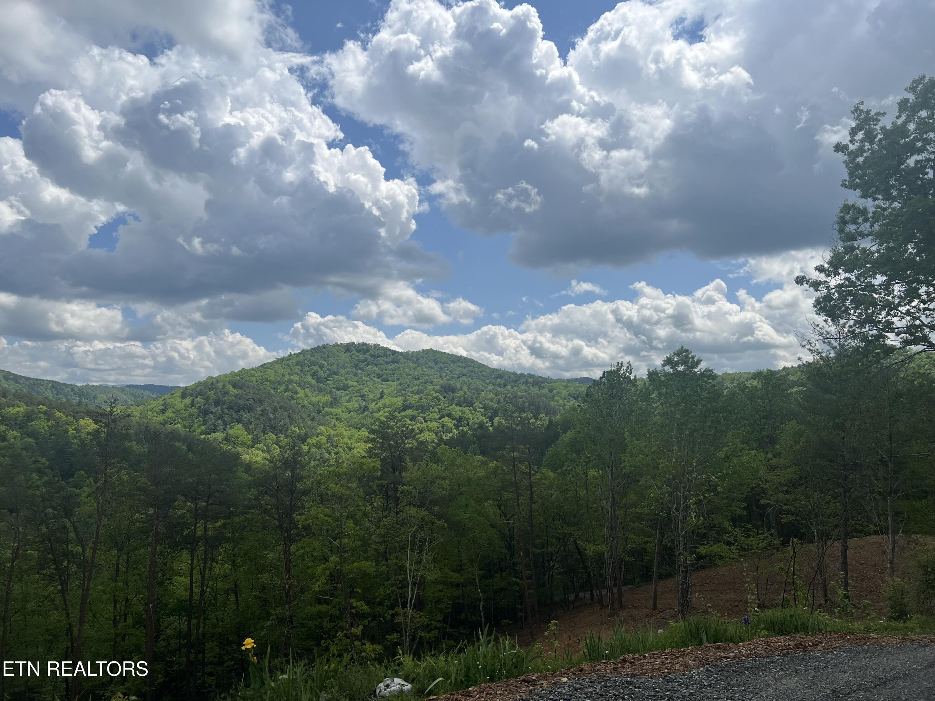 625 Cane Creek Mountain Road Tellico Plains TN 37385