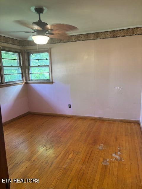 4457 Tynemouth Drive Knoxville TN 37914