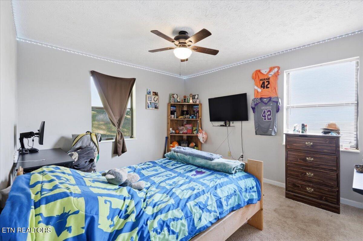 319 Ironwood Drive Kodak TN 37764
