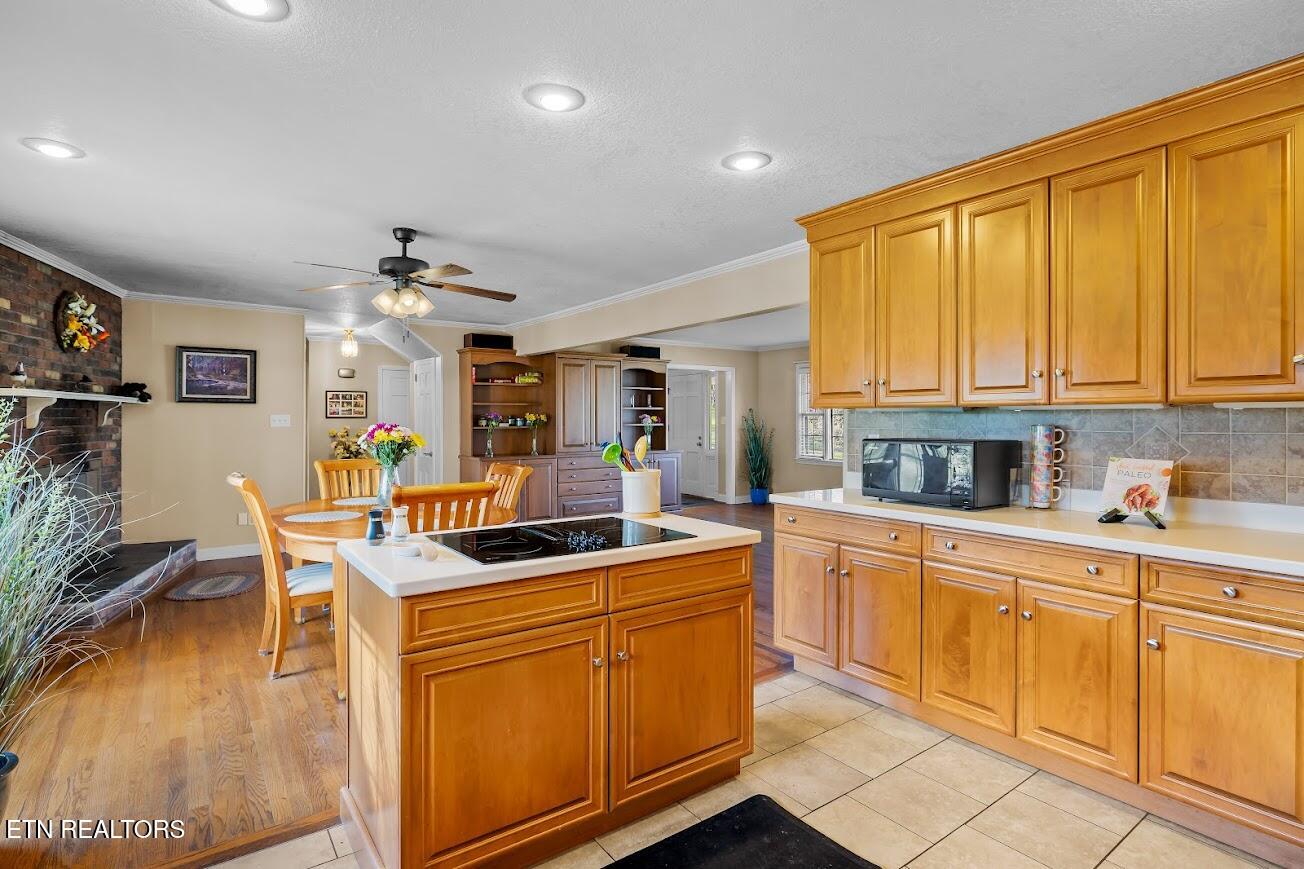 2024 W Velmetta Circle Knoxville TN 37920