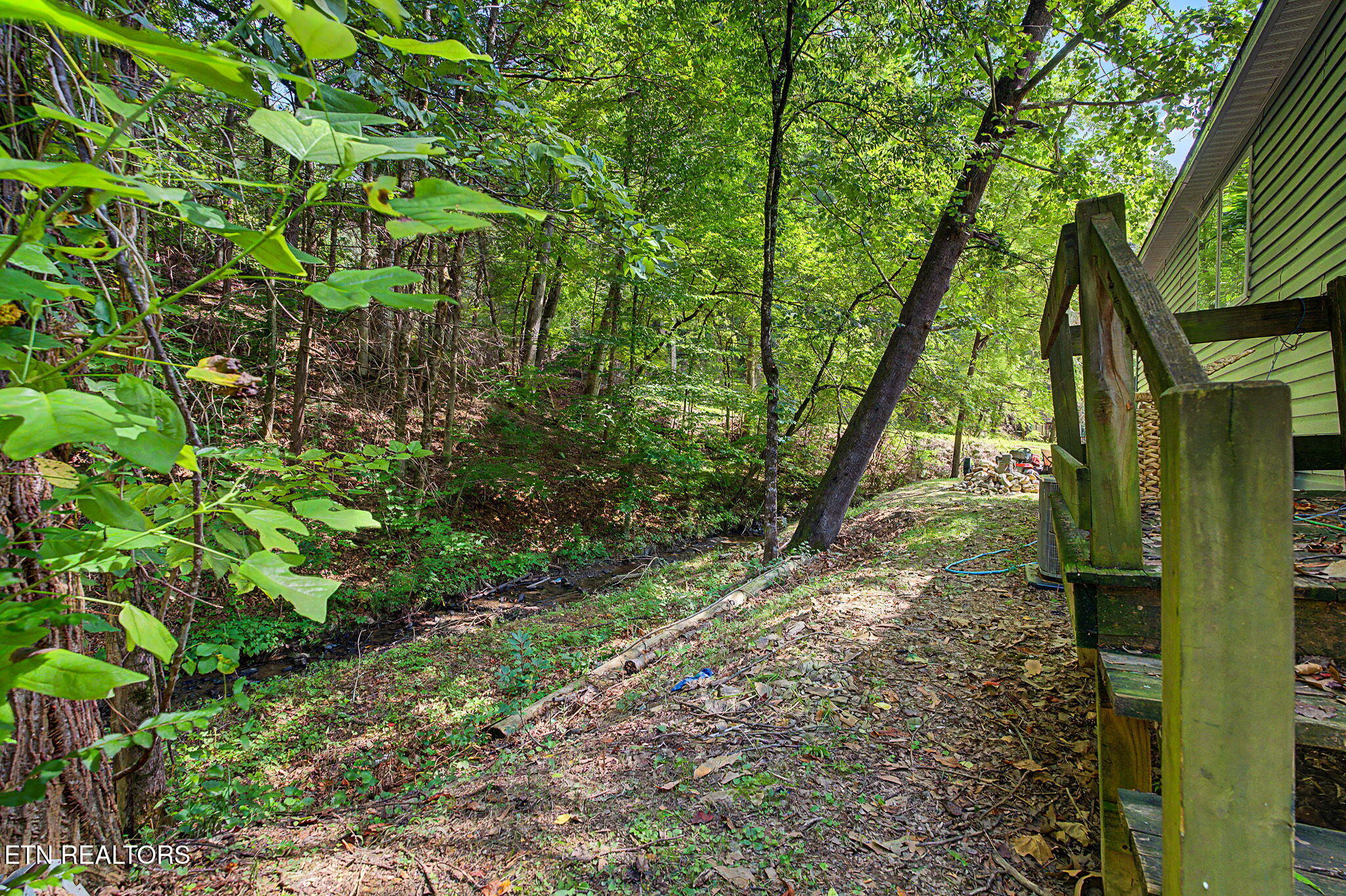 443 Cole Drive Pigeon Forge TN 37863