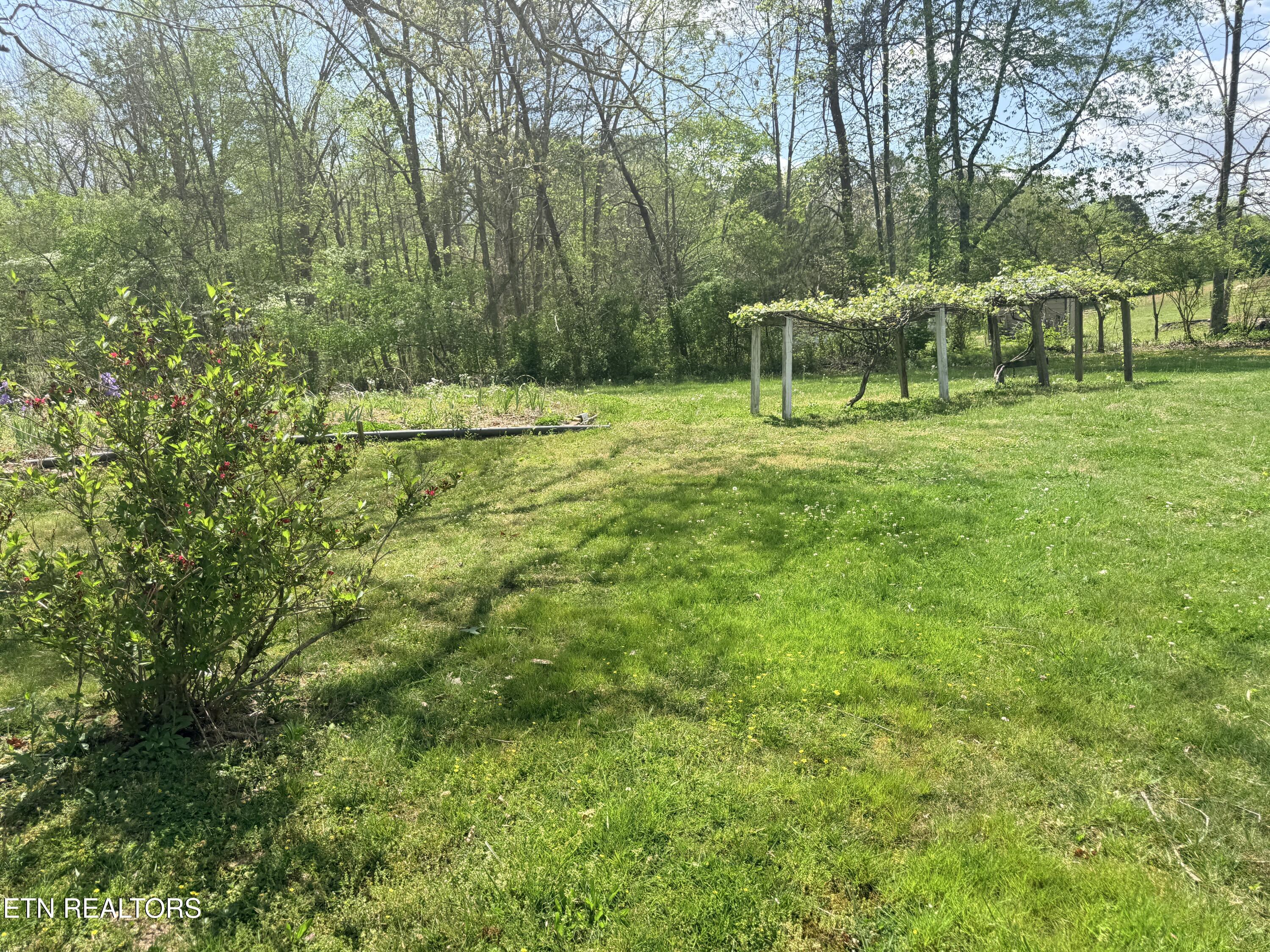 1243 Franklin Loop Clarkrange TN 38553