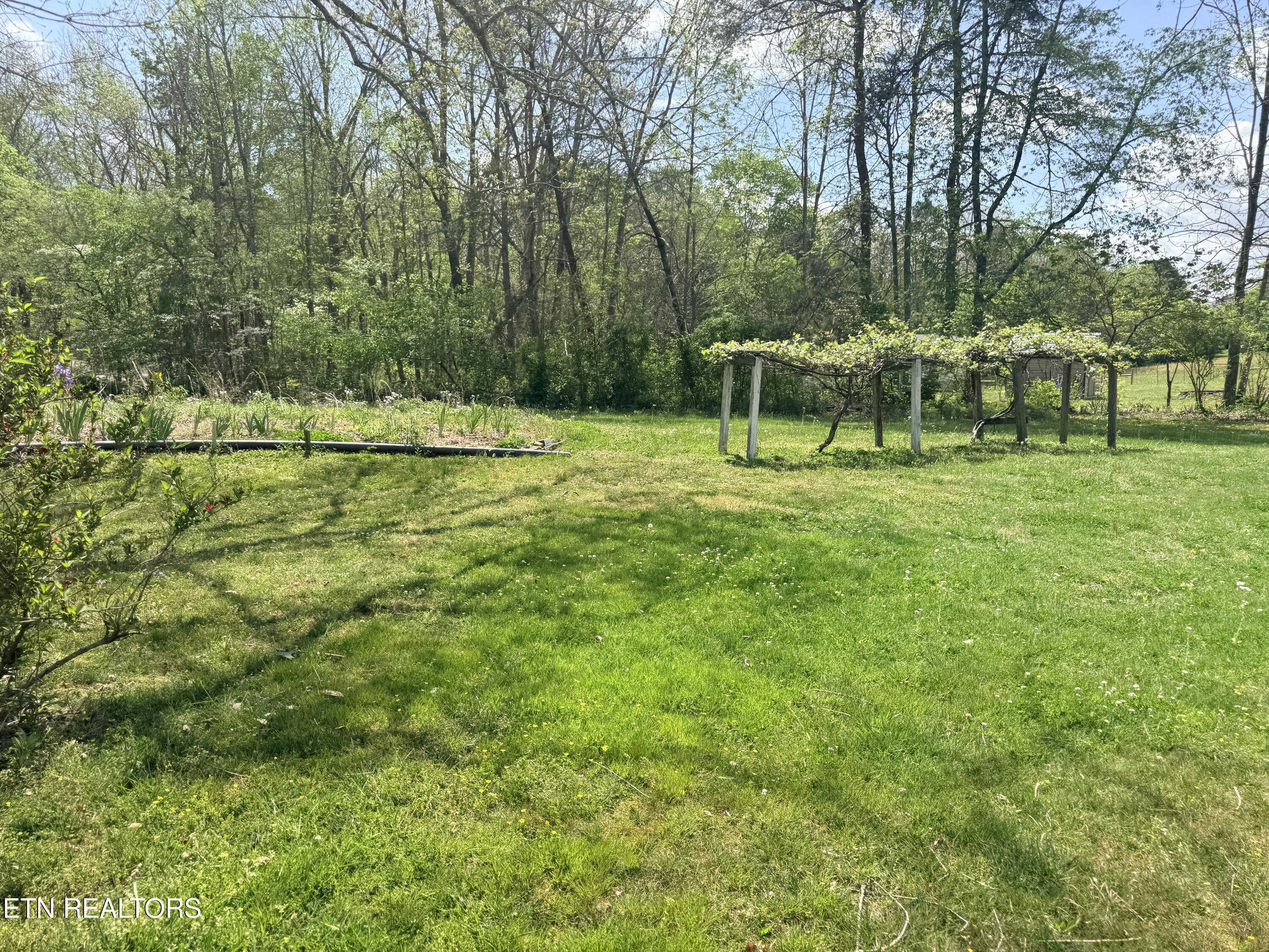 1243 Franklin Loop Clarkrange TN 38553