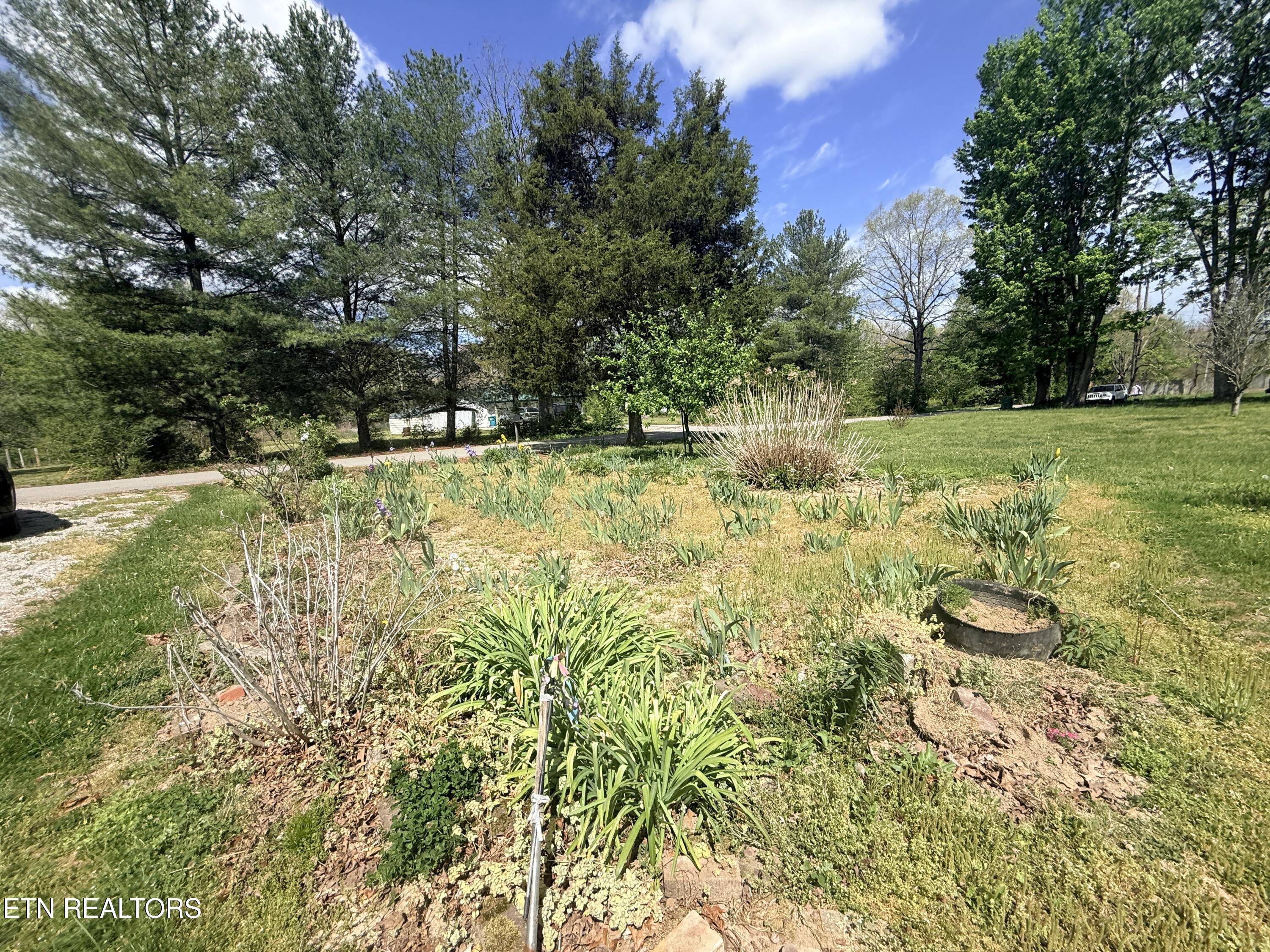 1243 Franklin Loop Clarkrange TN 38553