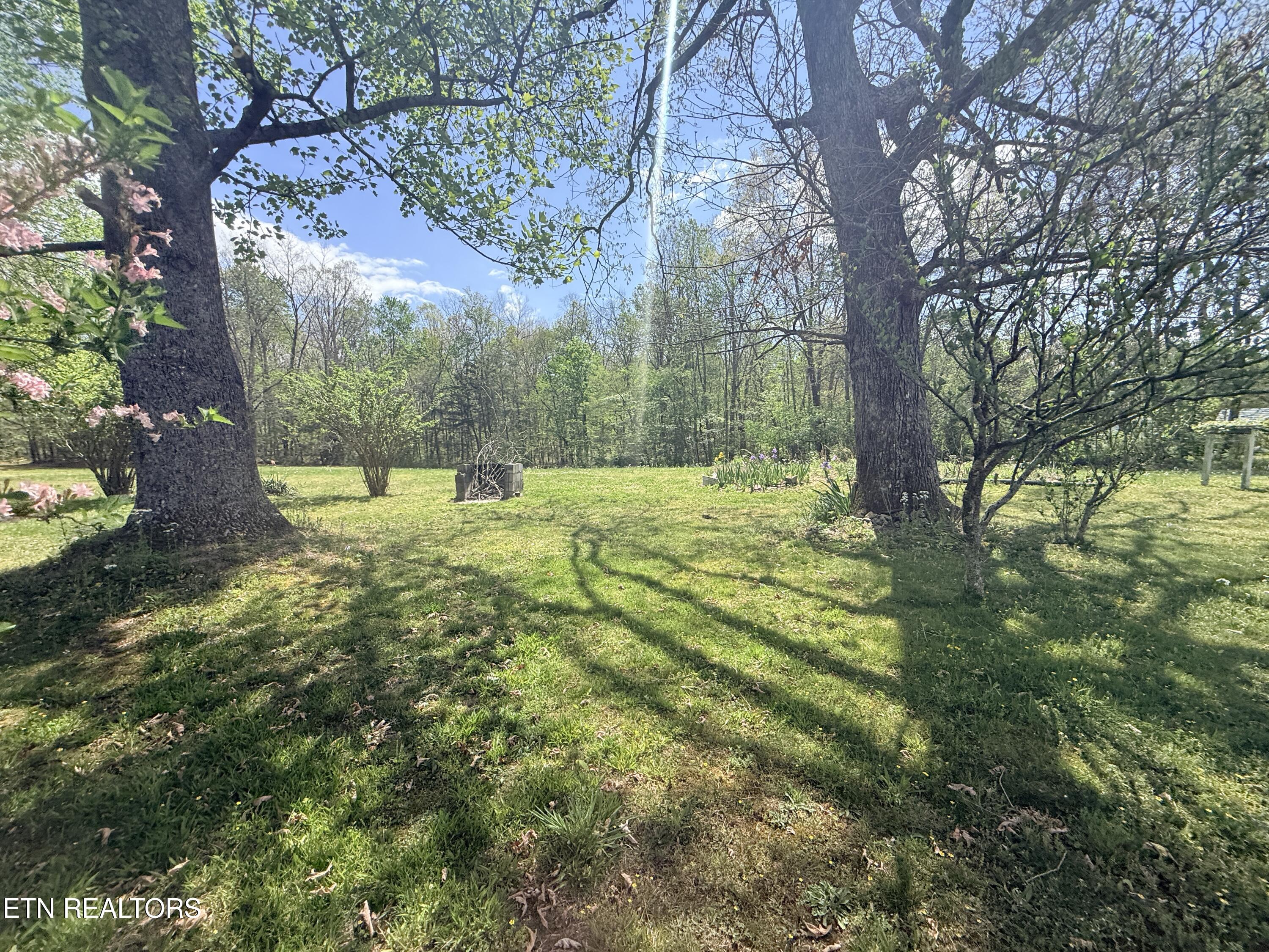 1243 Franklin Loop Clarkrange TN 38553