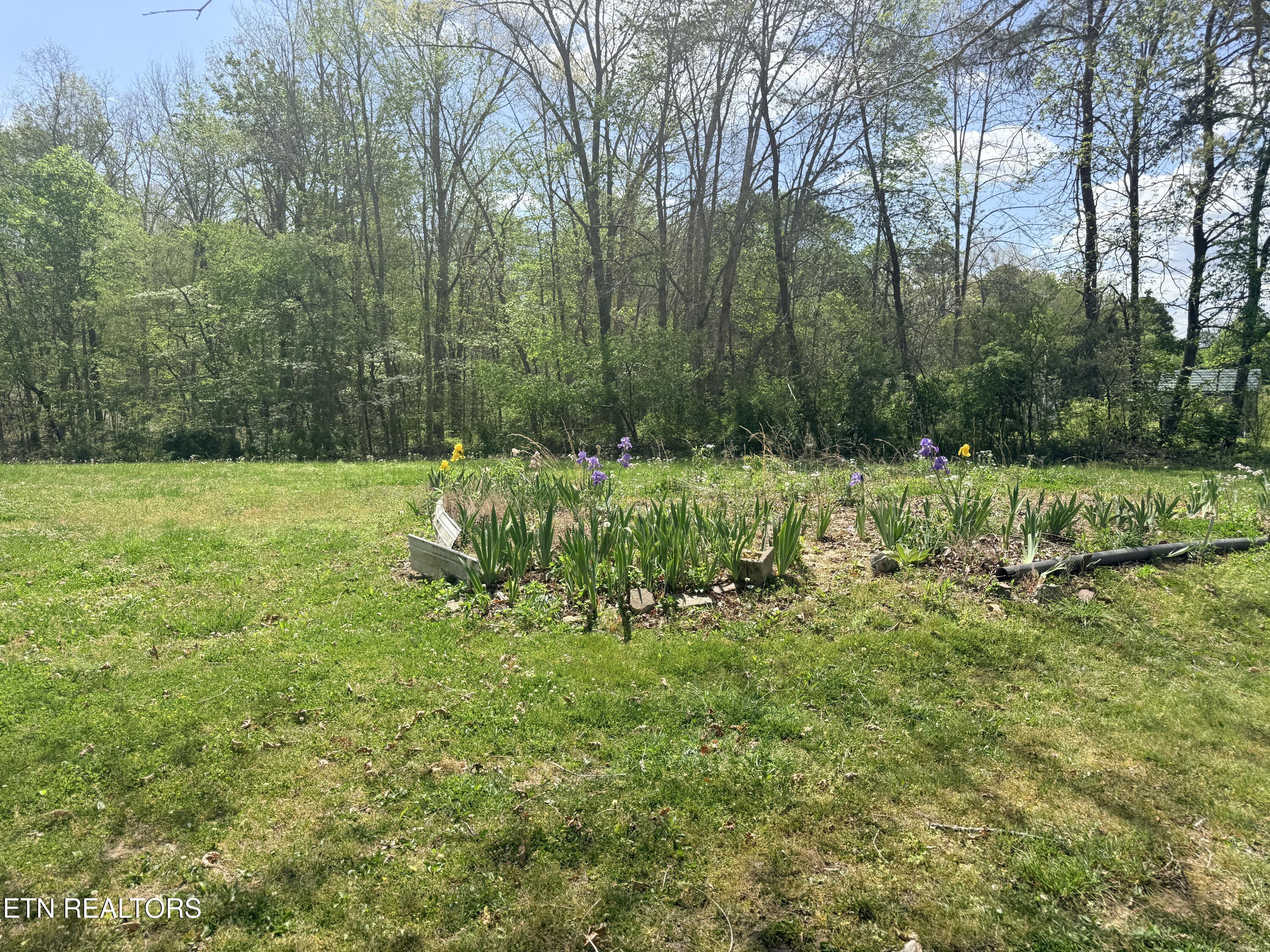 1243 Franklin Loop Clarkrange TN 38553