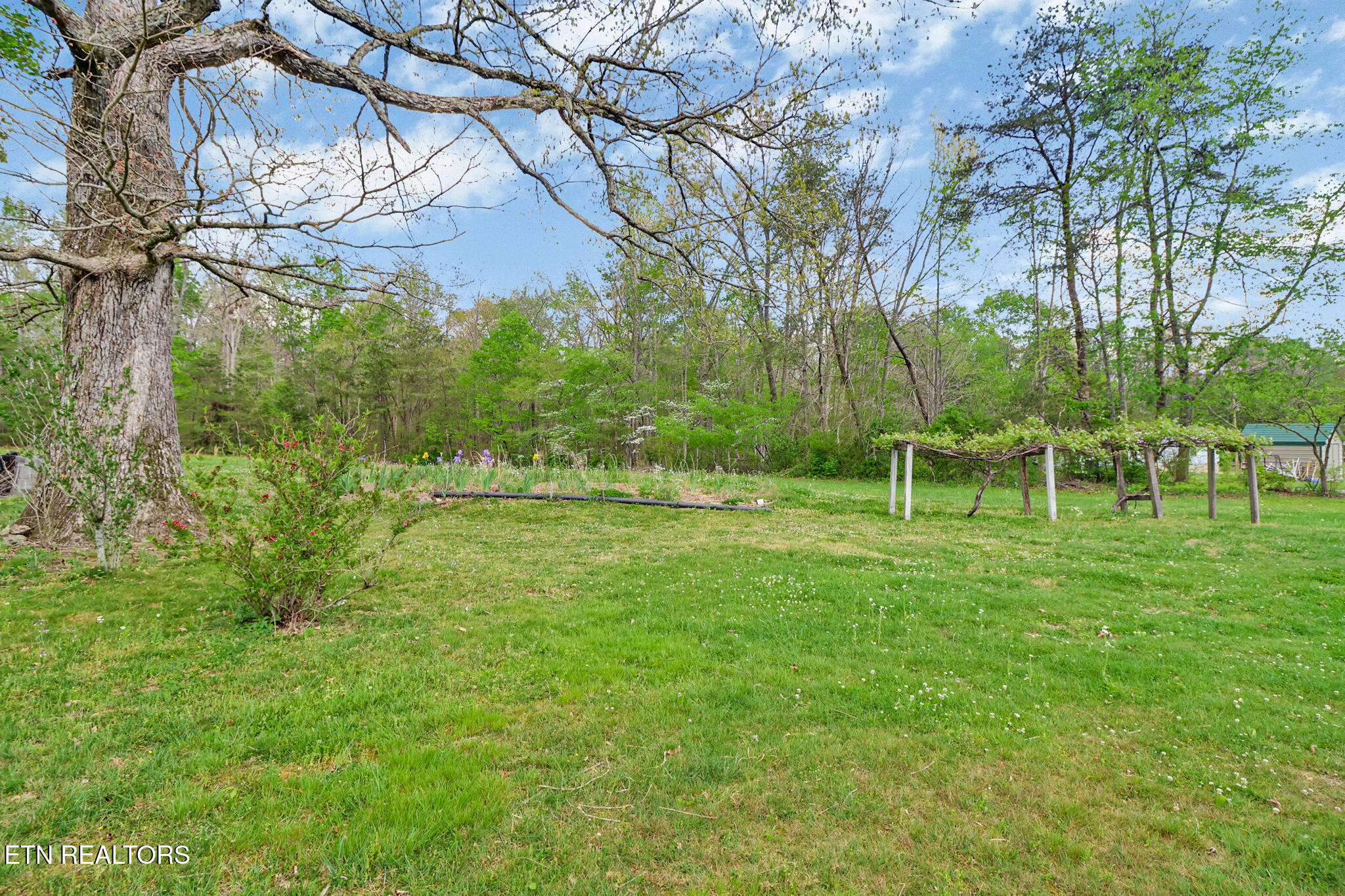 1243 Franklin Loop Clarkrange TN 38553