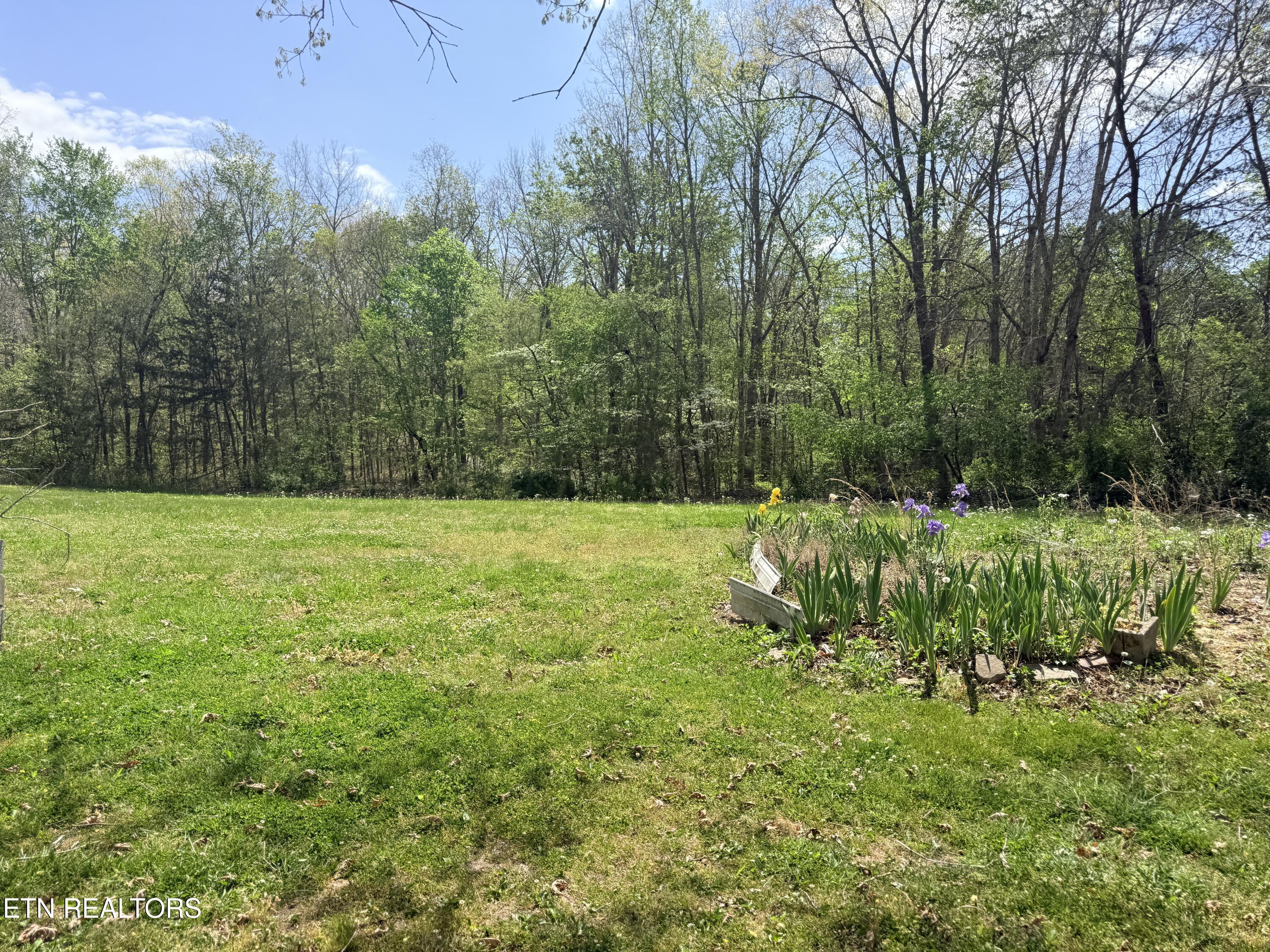 1243 Franklin Loop Clarkrange TN 38553