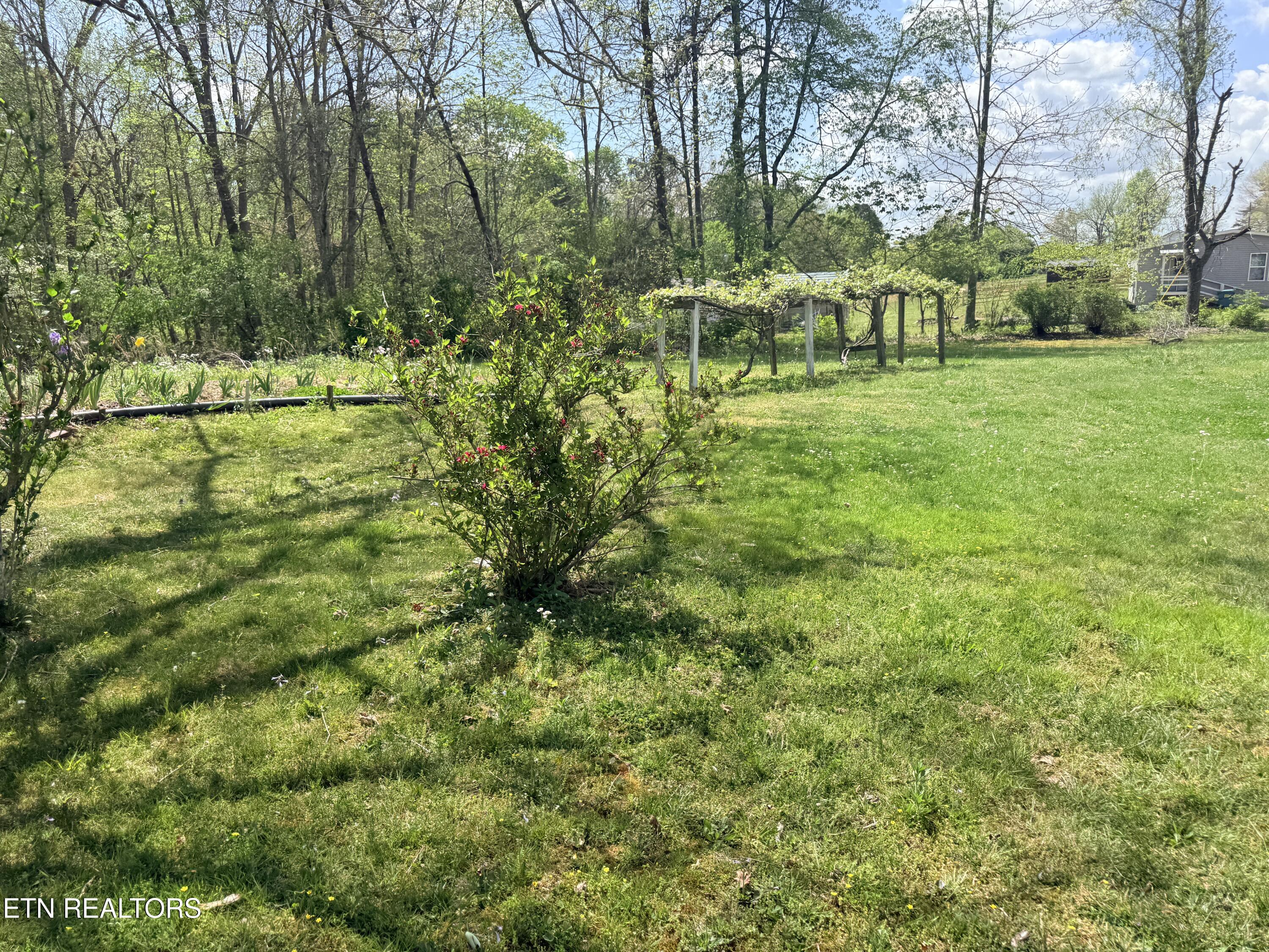 1243 Franklin Loop Clarkrange TN 38553