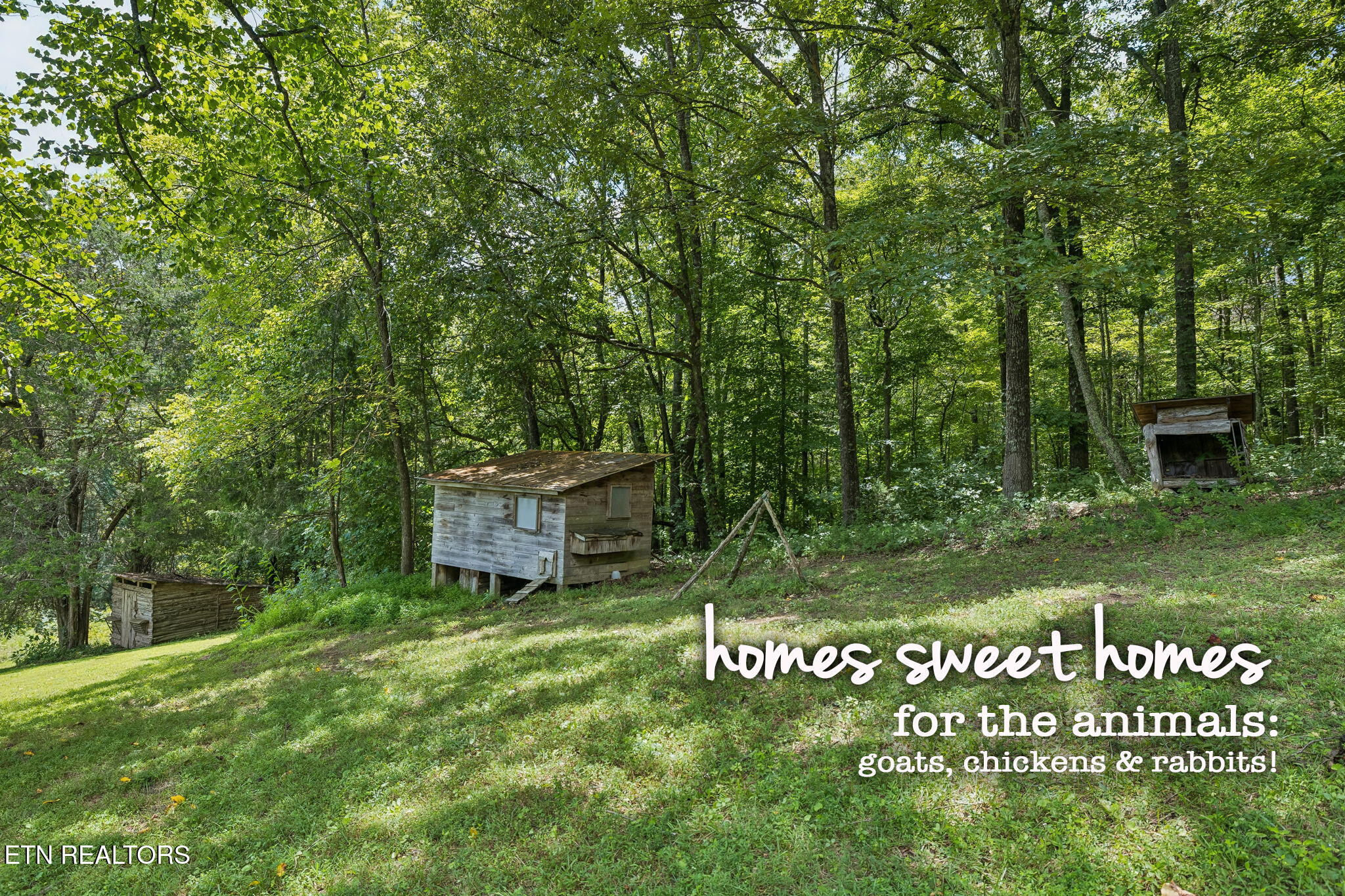 575 Russell Road Sharps Chapel TN 37866