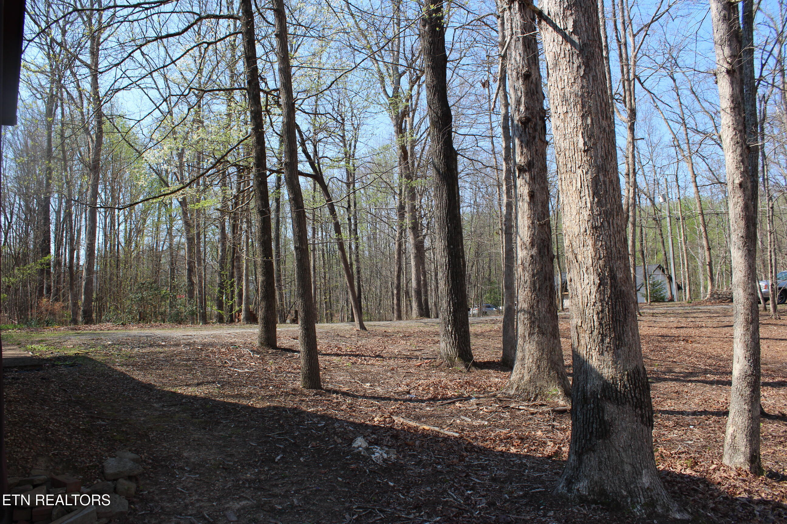 108 Laurel Drive Jamestown TN 38556