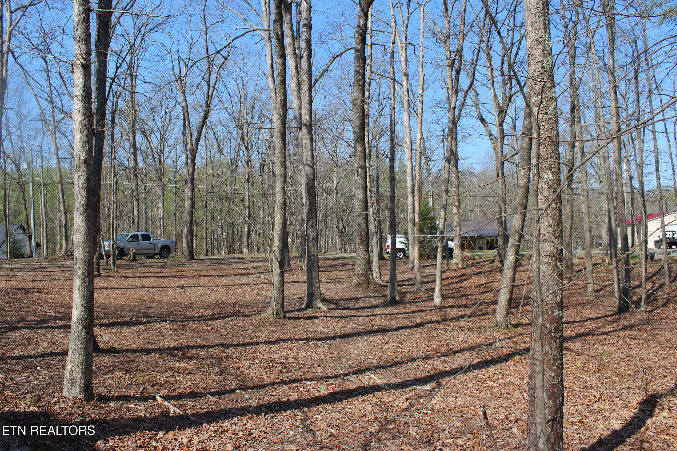 108 Laurel Drive Jamestown TN 38556