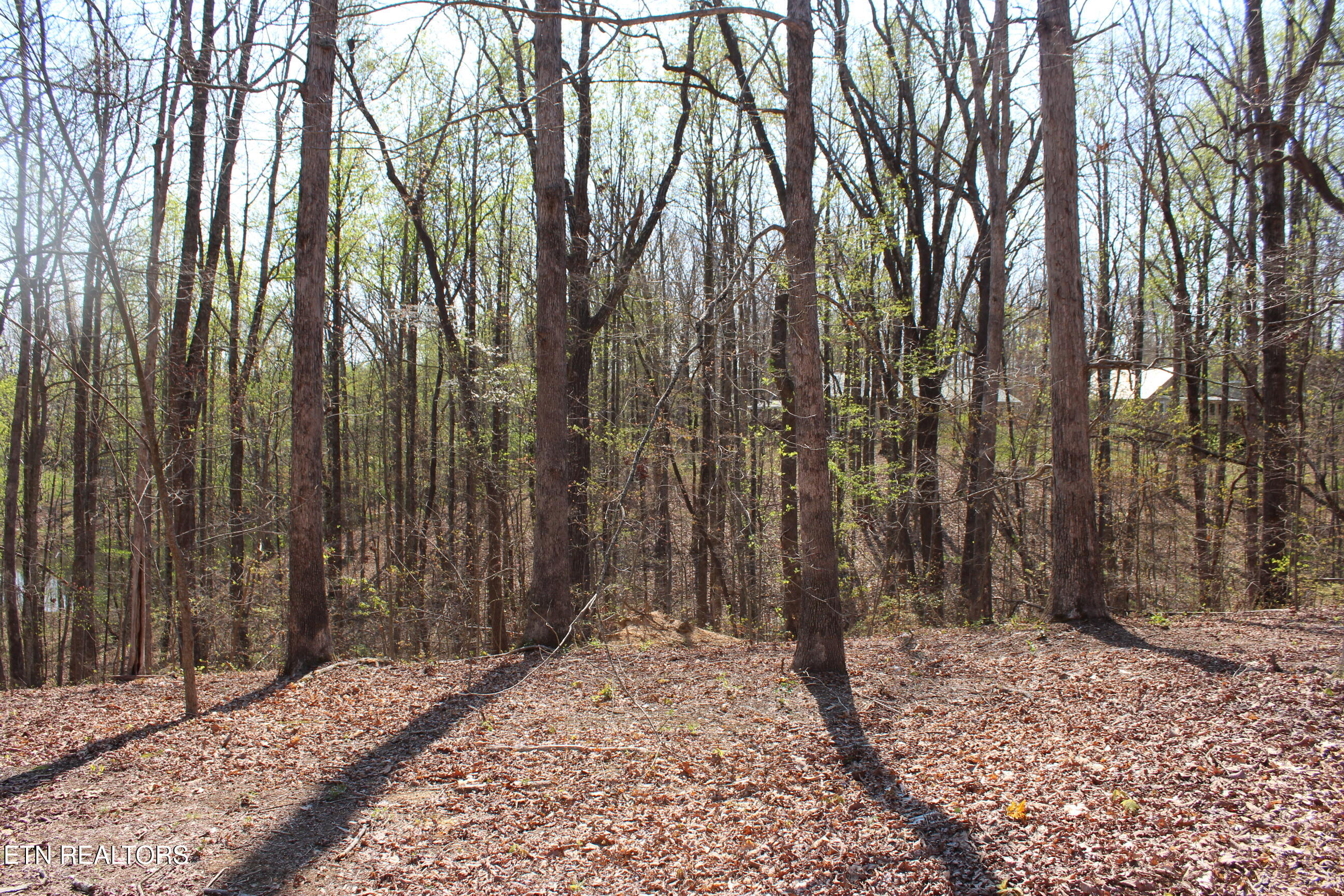 108 Laurel Drive Jamestown TN 38556