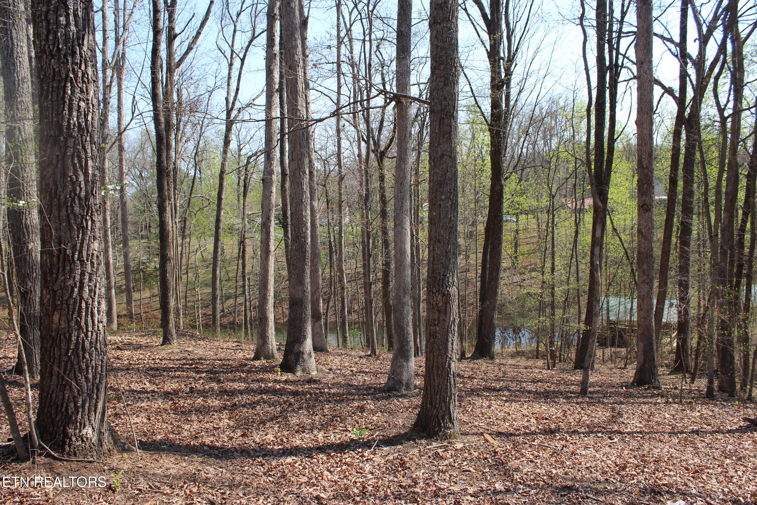 108 Laurel Drive Jamestown TN 38556