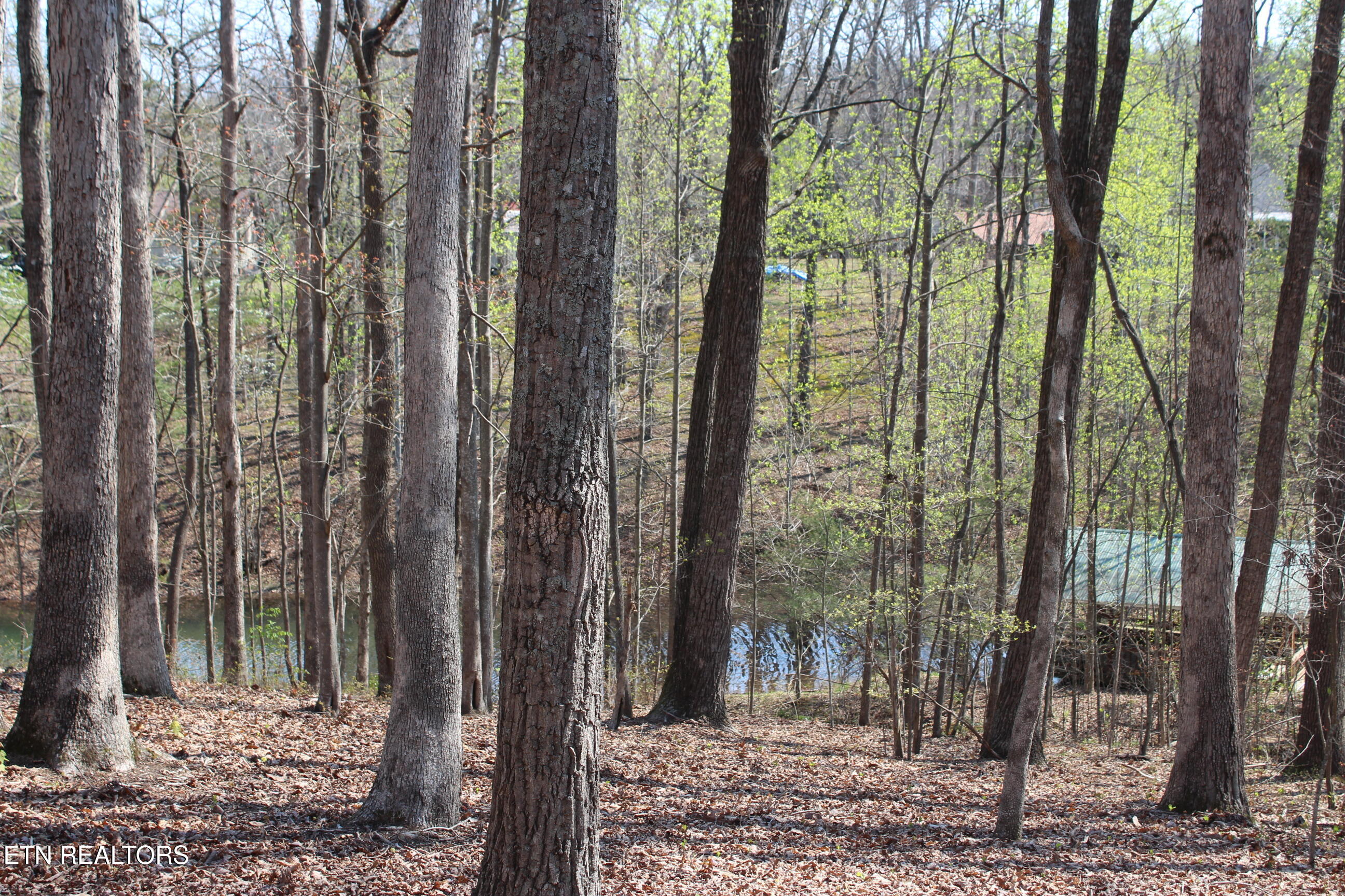 108 Laurel Drive Jamestown TN 38556