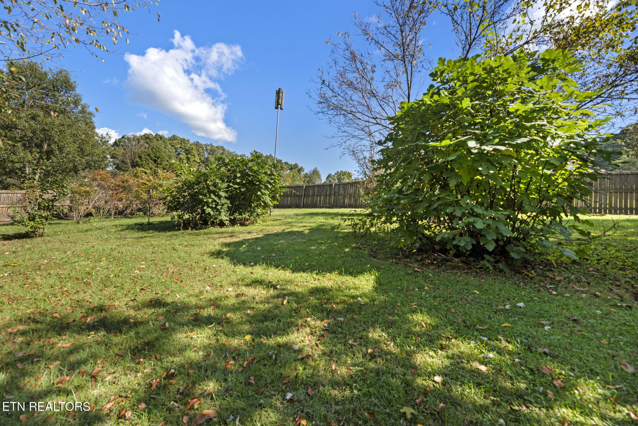 207 Laurel Road Clinton TN 37716