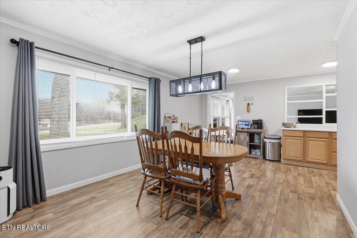 488 Long Hollow Road Maryville TN 37801