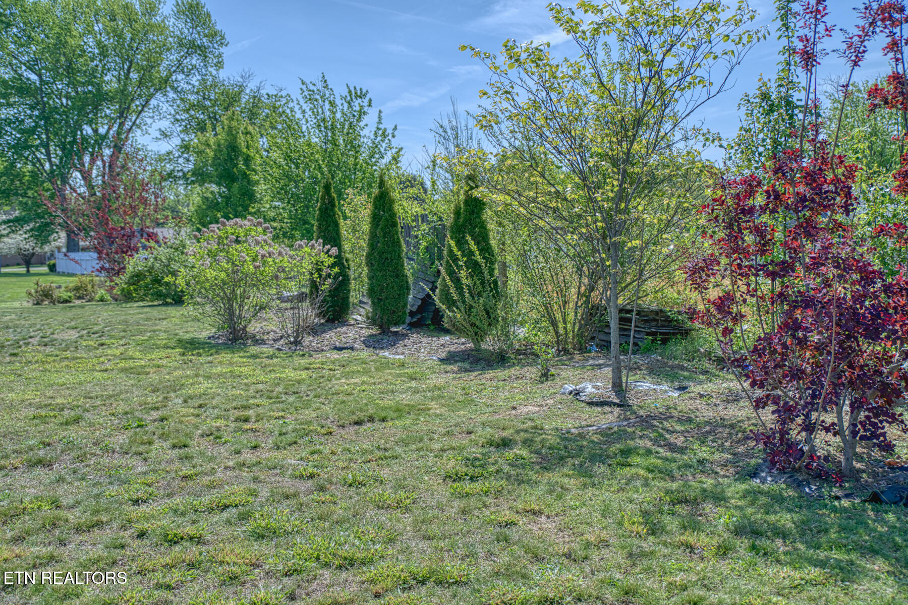 858 Greenland Avenue Cookeville TN 38501
